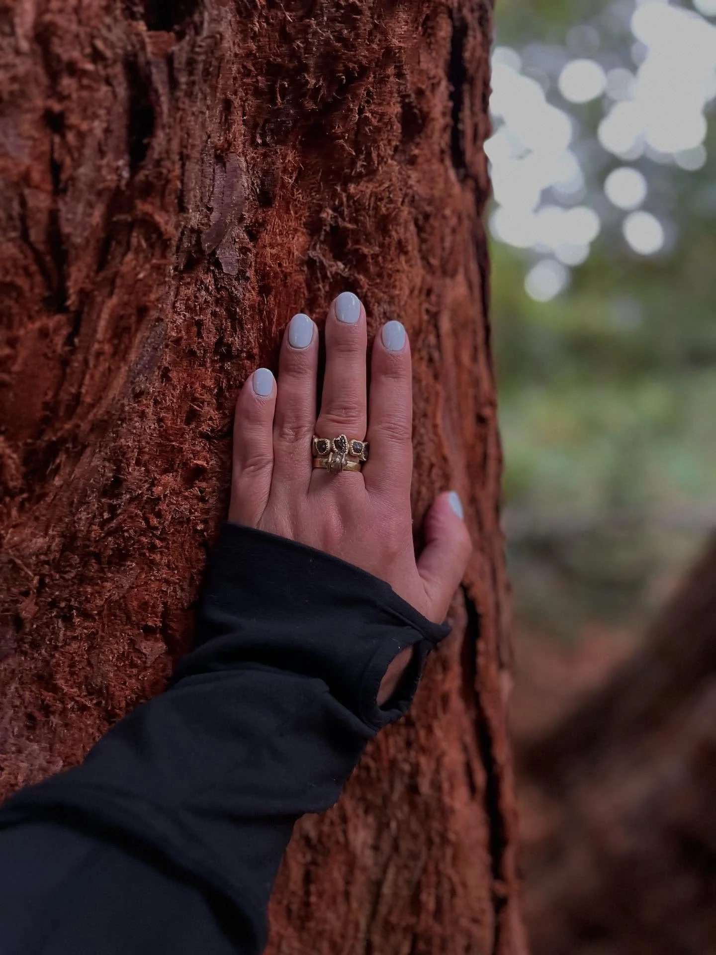 _

In the summer sun

My hands once again become the color of 

Redwood trees.

My veins and DNA 

Recognize them as family. 

We re-enter back into an ancient conversation,

One without language.

They remember me as their child

As I rest cradled 
