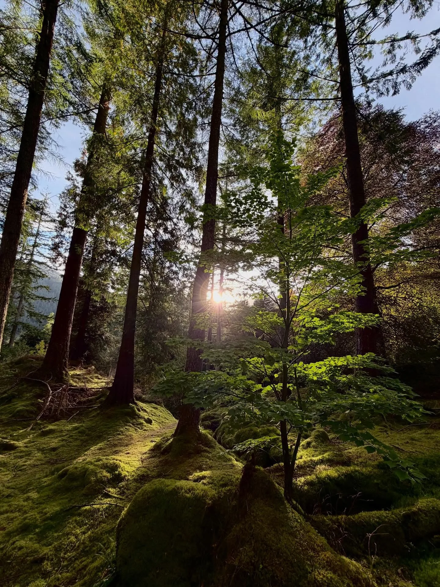 _
In nature, we remember we are loved.