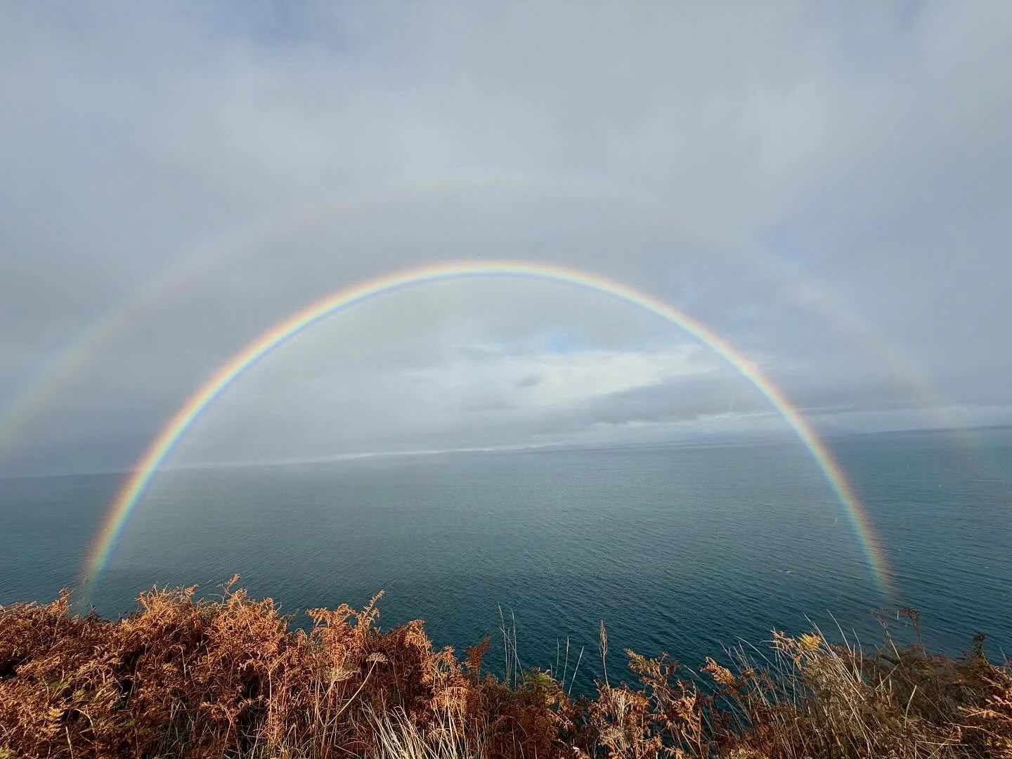 _
Nature holds up a mirror to us. The more beauty we witness in nature, the more beautiful we recognize ourselves to be.