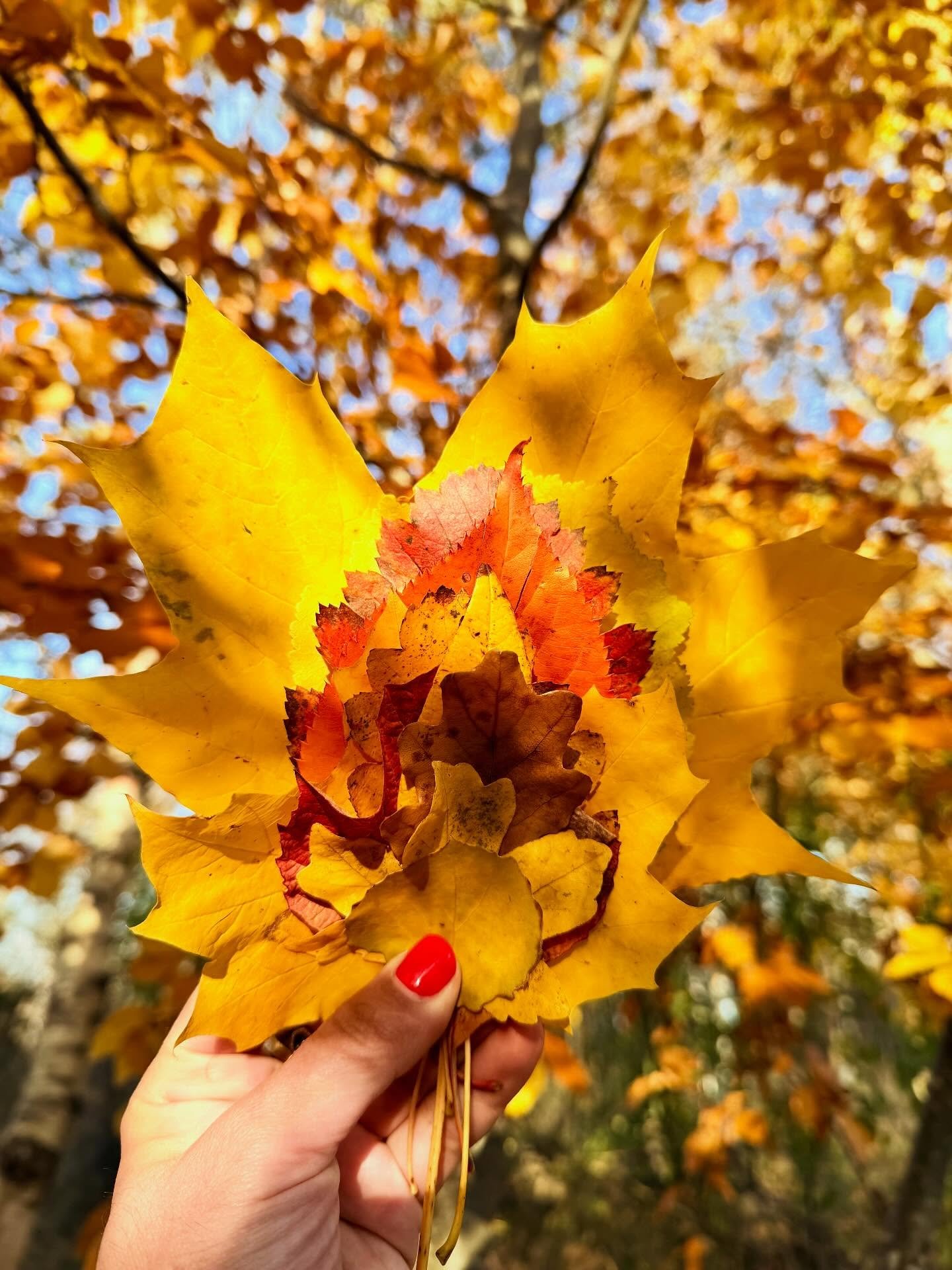 _
To love what has fallen.