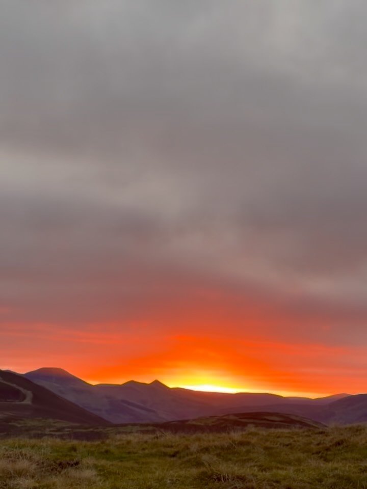 _

Nature&rsquo;s Coven-Stellar Bodies
Aquarius-Eleventh House
17th of Jan 6-9pm- Online through Zoom
18th of Jan 6-9pm- from the beautiful @yogashala
 
The 11th House traditionally ruled by Aquarius reveals the visionary relationship of the Self (1s