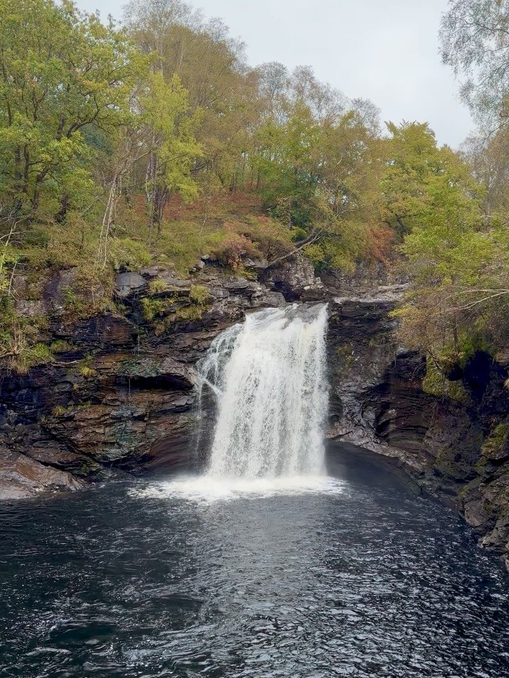 _
Nature&rsquo;s Coven-Stellar Bodies
Pisces-12th House
21st of Feb 6-9pm- Online through Zoom
22nd of Feb 6-9pm- from the beautiful @the.yogashala 
 
The 12th House is traditionally ruled by Pisces, and it hides and reveals the wholeness of the true