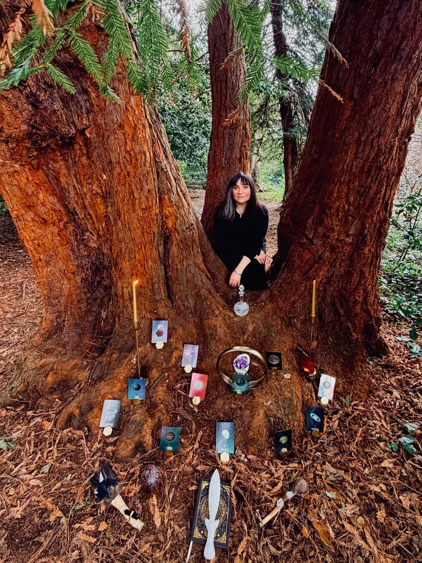 _

𝐍𝐚𝐭𝐮𝐫𝐞&rsquo;𝐬 𝐂𝐨𝐯𝐞𝐧-𝐒𝐭𝐞𝐥𝐥𝐚𝐫 𝐁𝐨𝐝𝐢𝐞𝐬
𝐓𝐡𝐞 𝐋𝐢𝐯𝐢𝐧𝐠 𝐀𝐥𝐭𝐚𝐫
𝐌𝐚𝐫𝐜𝐡 𝟐𝟎𝟐𝟔-𝐌𝐚𝐫𝐜𝐡 𝟐𝟎𝟐𝟕

 
The Living Altar is a 13-month long, feminine exploration of the divine relationship between our bodies, souls, 