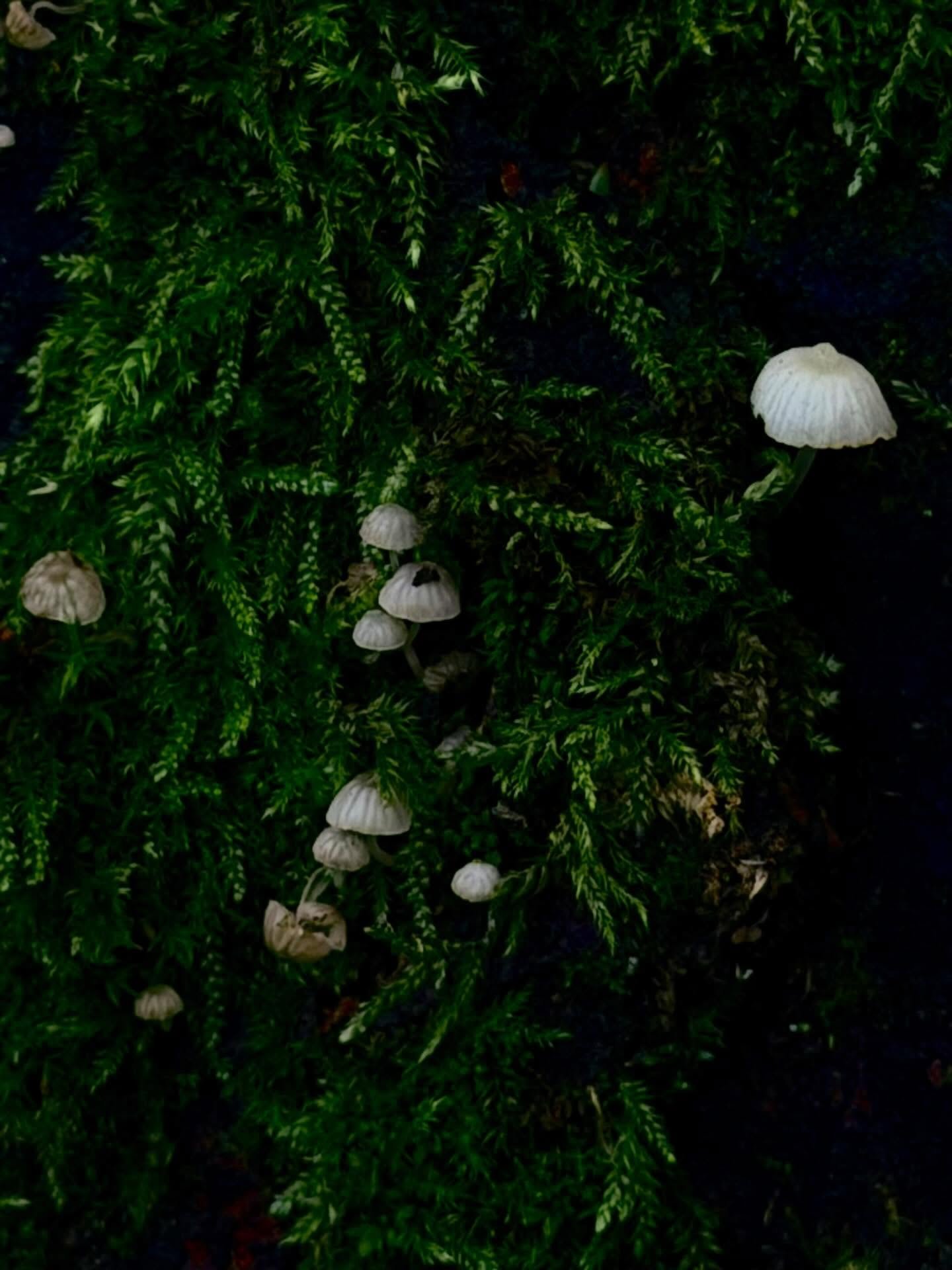 _

Light up the dark.