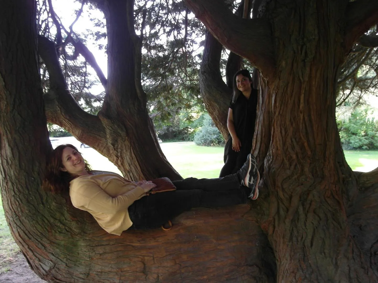 -

𝑨𝒕 𝒕𝒉𝒆 𝒉𝒆𝒂𝒓𝒕 𝒐𝒇 𝒆𝒗𝒆𝒓𝒚𝒕𝒉𝒊𝒏𝒈 𝒊𝒔 𝒂 𝒔𝒕𝒐𝒓𝒚.

𝒀𝒐𝒖𝒓 𝒉𝒆𝒂𝒓𝒕 𝒂𝒏𝒅 𝒎𝒚 𝒉𝒆𝒂𝒓𝒕, 𝒕𝒉𝒆𝒚 𝒕𝒆𝒍𝒍 𝒂 𝒔𝒕𝒐𝒓𝒚.

𝑨 𝒉𝒖𝒎𝒂𝒏 𝒔𝒕𝒐𝒓𝒚 𝒕𝒉𝒂𝒕 𝒊𝒔 𝒑𝒂𝒓𝒕 𝒐𝒇 𝒂 𝒄𝒐𝒍𝒍𝒆𝒄𝒕𝒊𝒗𝒆 𝒔𝒕𝒐𝒓𝒚.

𝑨 𝒄𝒐𝒍