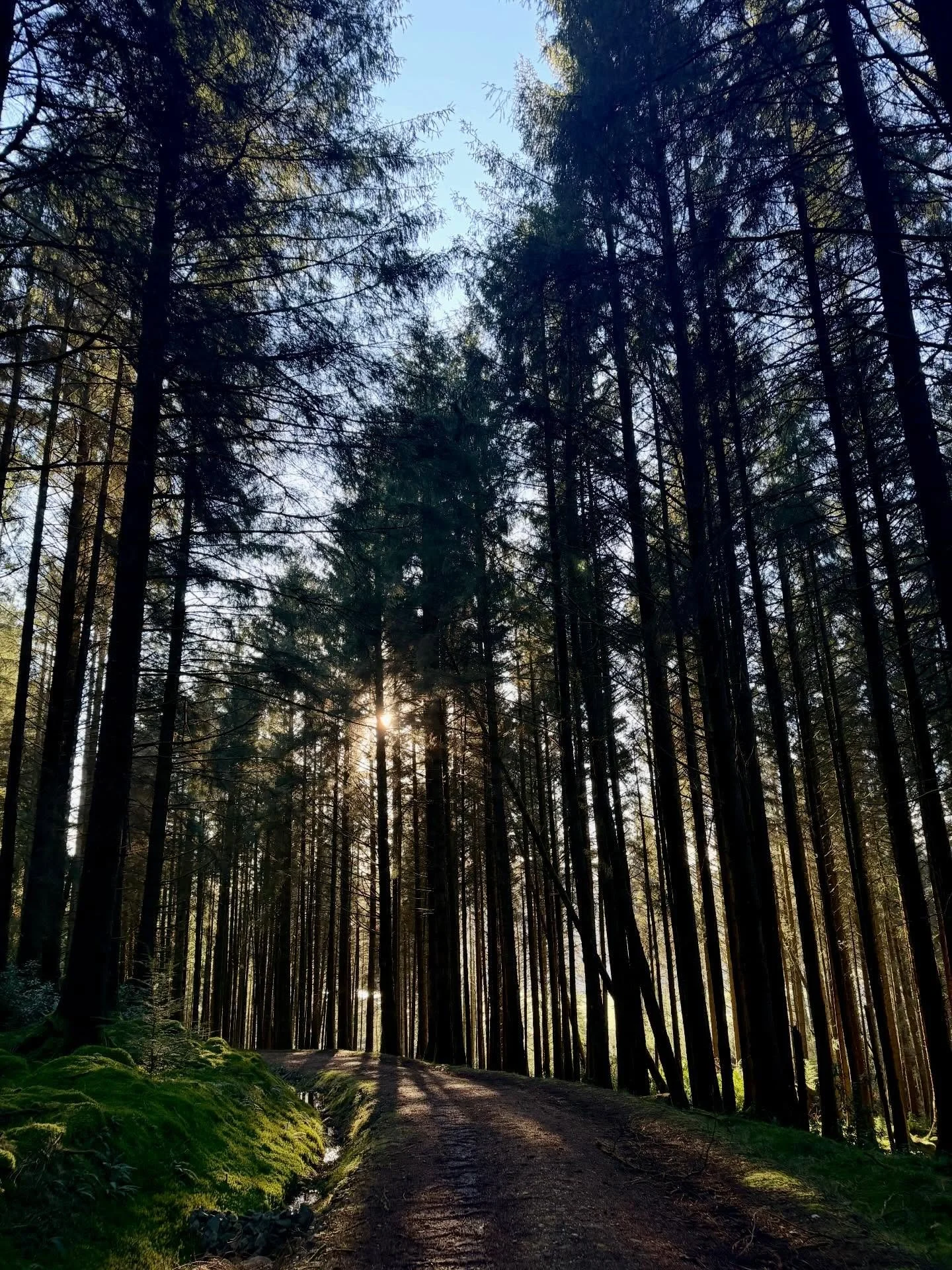 _

45 Years Old - The Angle of Perfect Symmetry - To exist between worlds. This is a point of balanced, structural stability, between the physical and spiritual planes.
 
Day 4 of 7

The Gift of a 2-hour Cacao Ceremony &amp; Deep Rest. I create the e