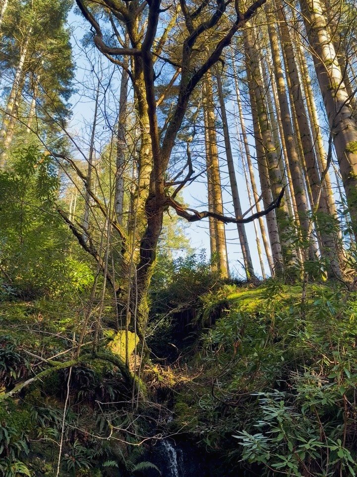 _

45 Years Old - The Angle of Perfect Symmetry- To exist between worlds. This is a point of balanced, structural stability, between the physical and spiritual planes.
 
Day 5 of 7

The Gift of the Birthday Blessing Reading. A 13 card tarot divinatio