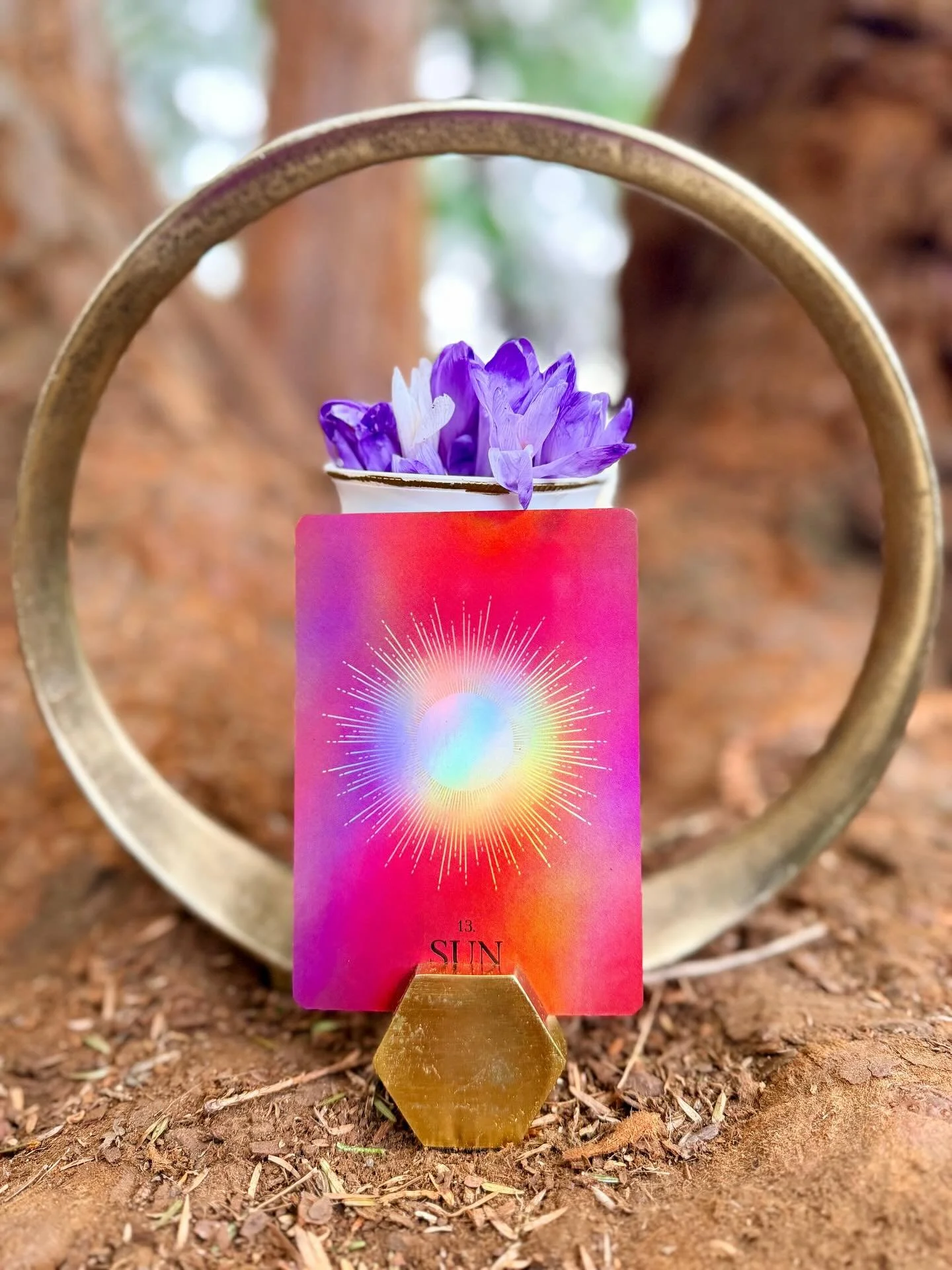 _
Nature&rsquo;s Coven-Stellar Bodies
The Living Altar
The Sun
What did you come here to radiate?
25th of April 6-9pm Online
26th of April 6-9pm In Person
 
The Sun is the center of our solar system and it is from the sun that all life on Earth gathe