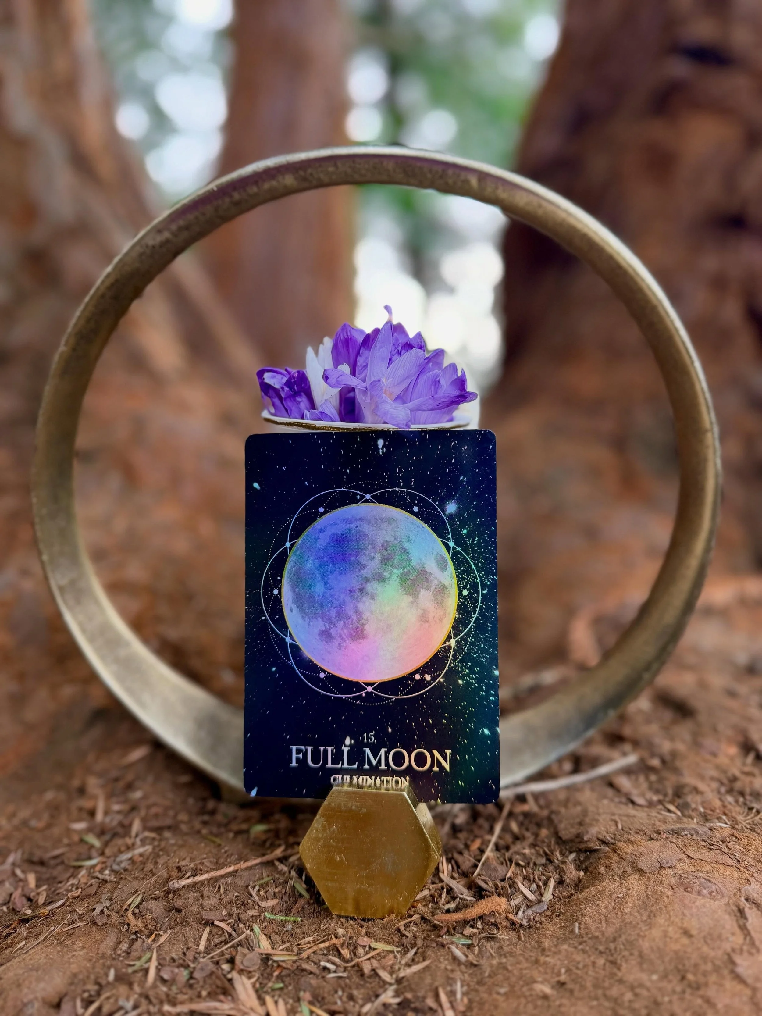 _
Nature&rsquo;s Coven-Stellar Bodies
The Living Altar
The Moon
How do we empower our emotional body?
23rd of May 6-9pm Online 
24th of May 6-9pm In Person
&nbsp;
The Moon has been guiding mankind through her shapeshifting ways across all lifetimes. 