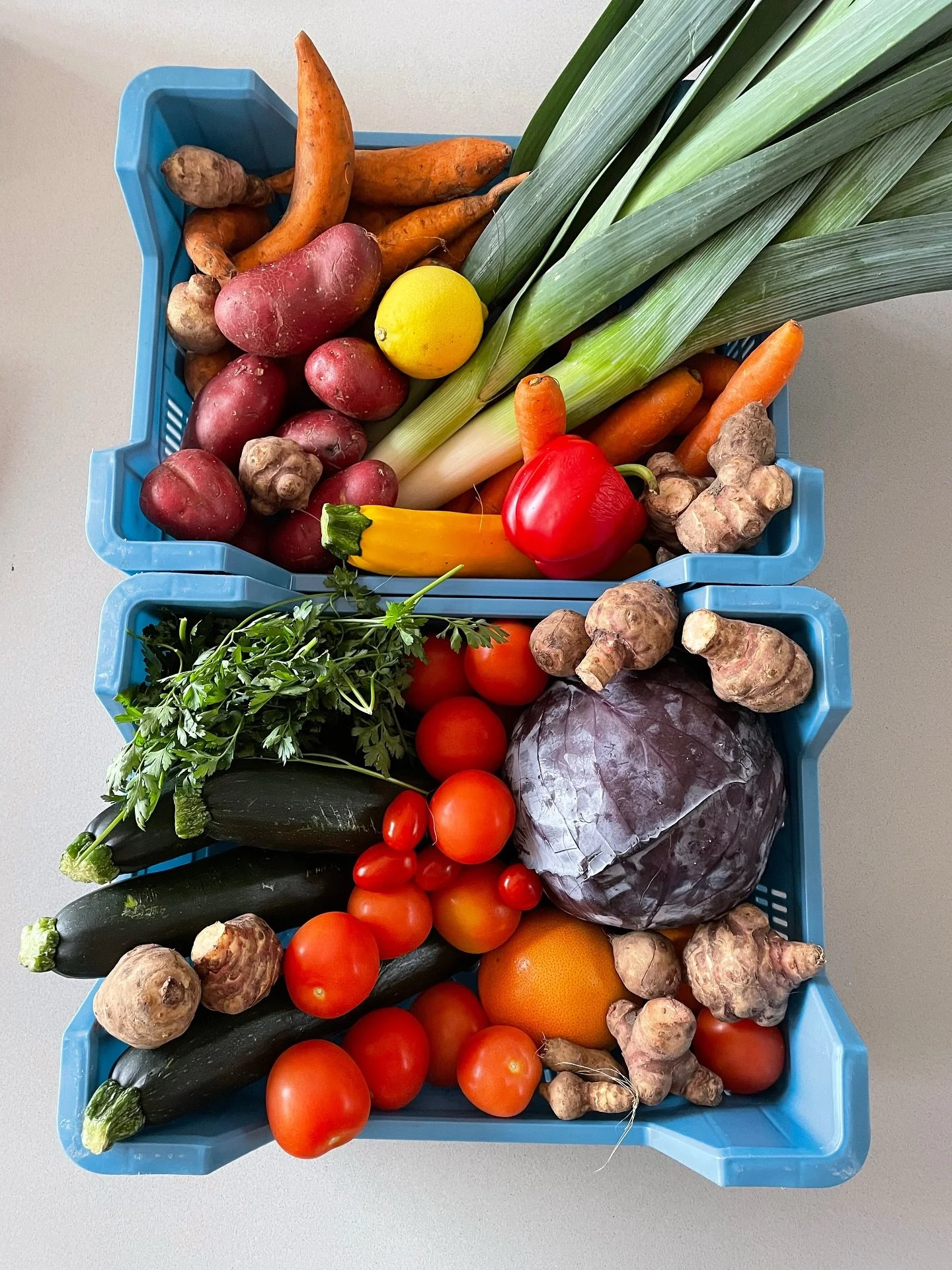 Turning veggies into ➡️ (aubergine rolletjes, romesco dip, sticky miso aubergine dip, bietjes salade, orzo, paella)
.
.
.
#denhaag #catering #denhaagfood #vega #kooplokaal