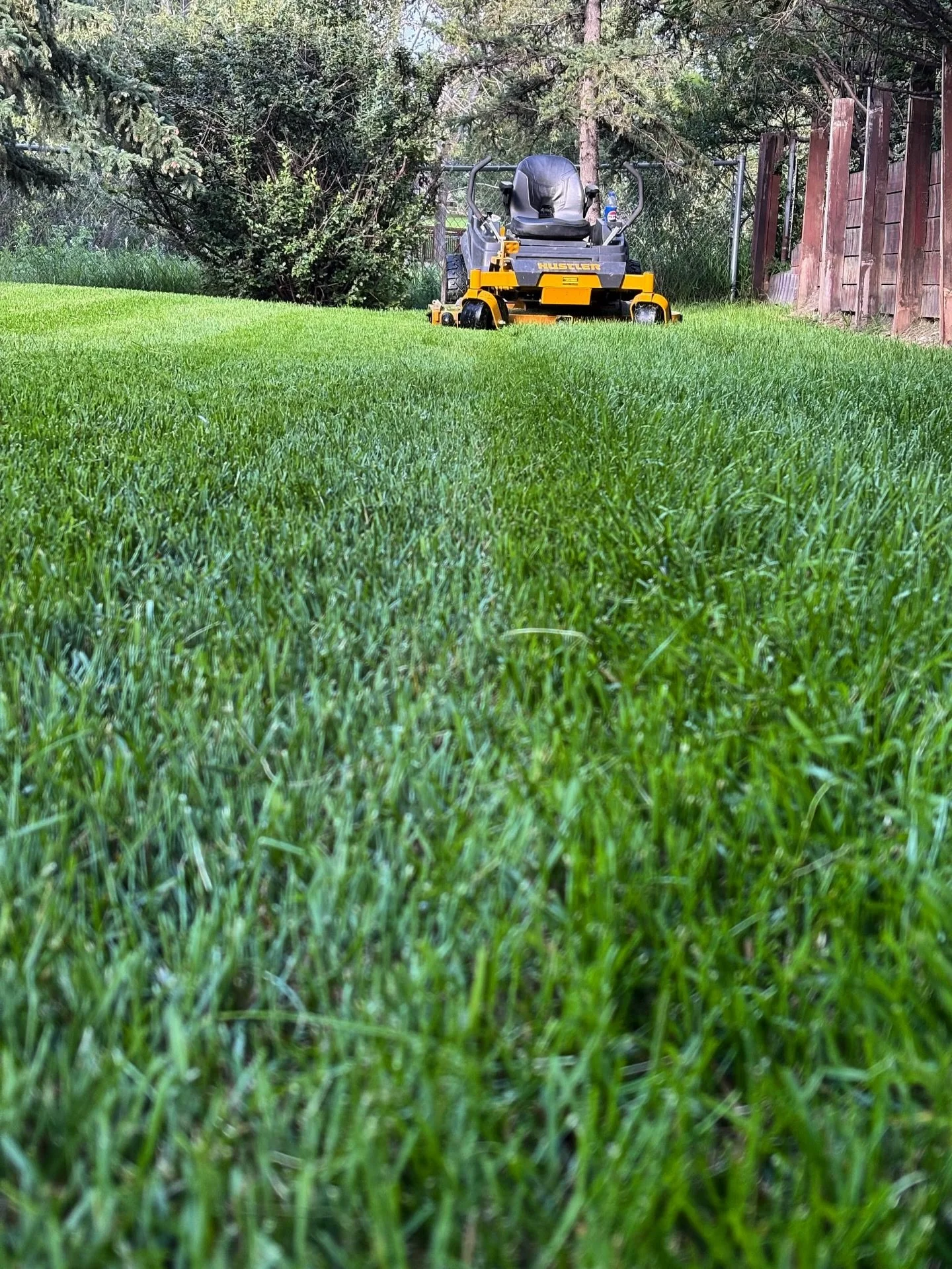 Despite the crazy spring weather we&rsquo;re excited to get our mowers back out!!

We have a few spots left for regular maintenance this summer so reach out for your free quote to admin@curtispandl.com

Also taking bookings for spring clean ups, aera