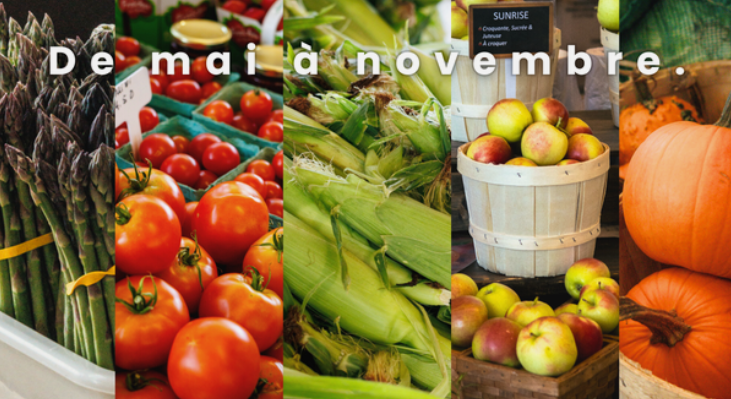 Marché public de Sainte-Foy