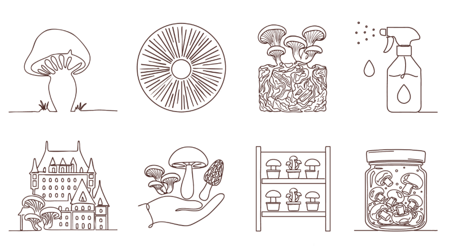 Capture d’écran 2026-03-09 225212.png