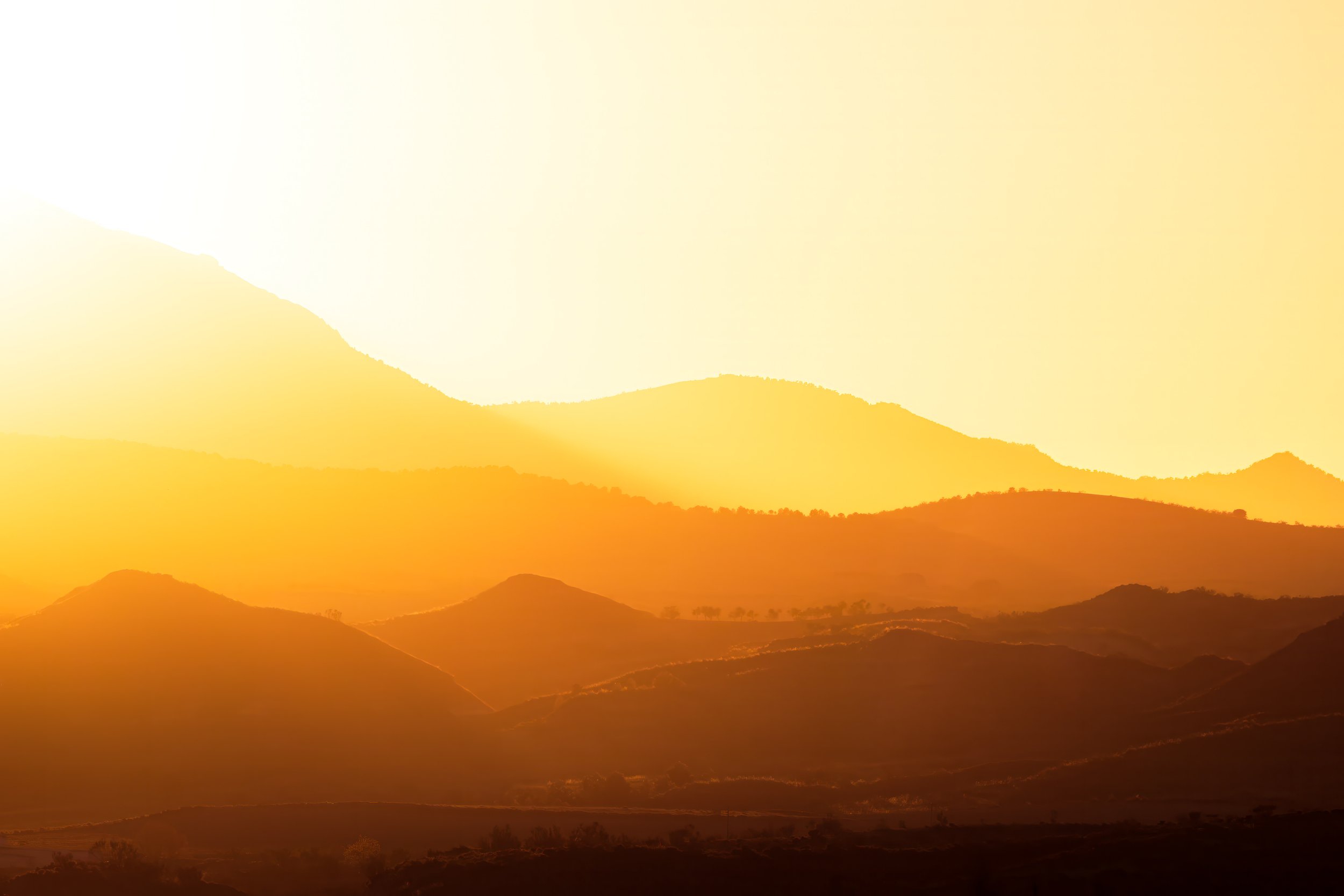 _O3A4079-Edit_ps.jpg