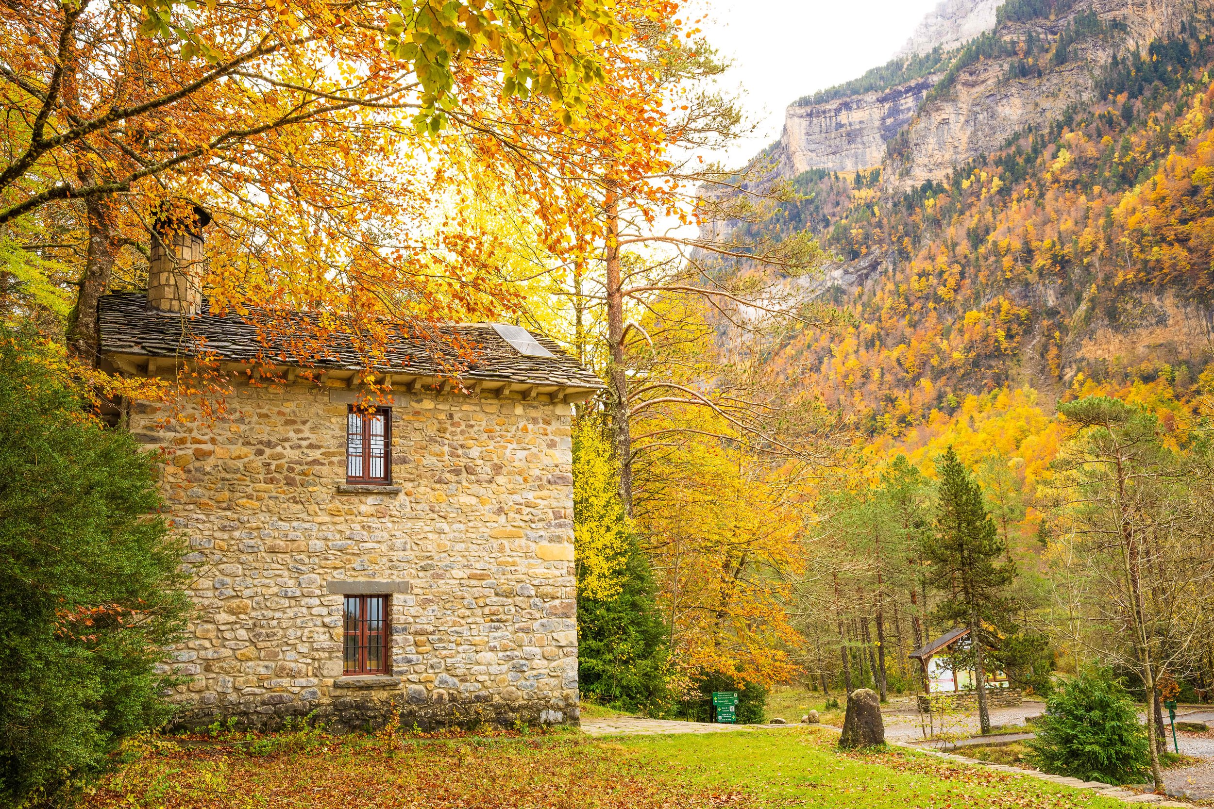 _O3A9809-Edit_ps (1).jpg