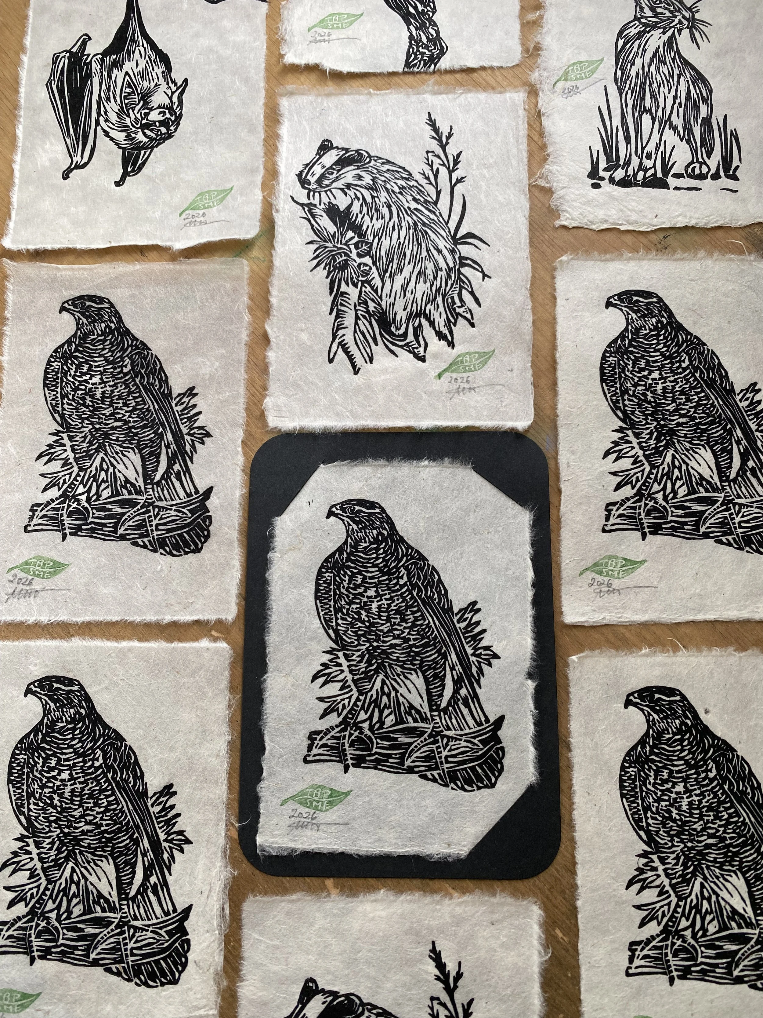 IMG_7944.jpeg (Kopie) (Kopie)