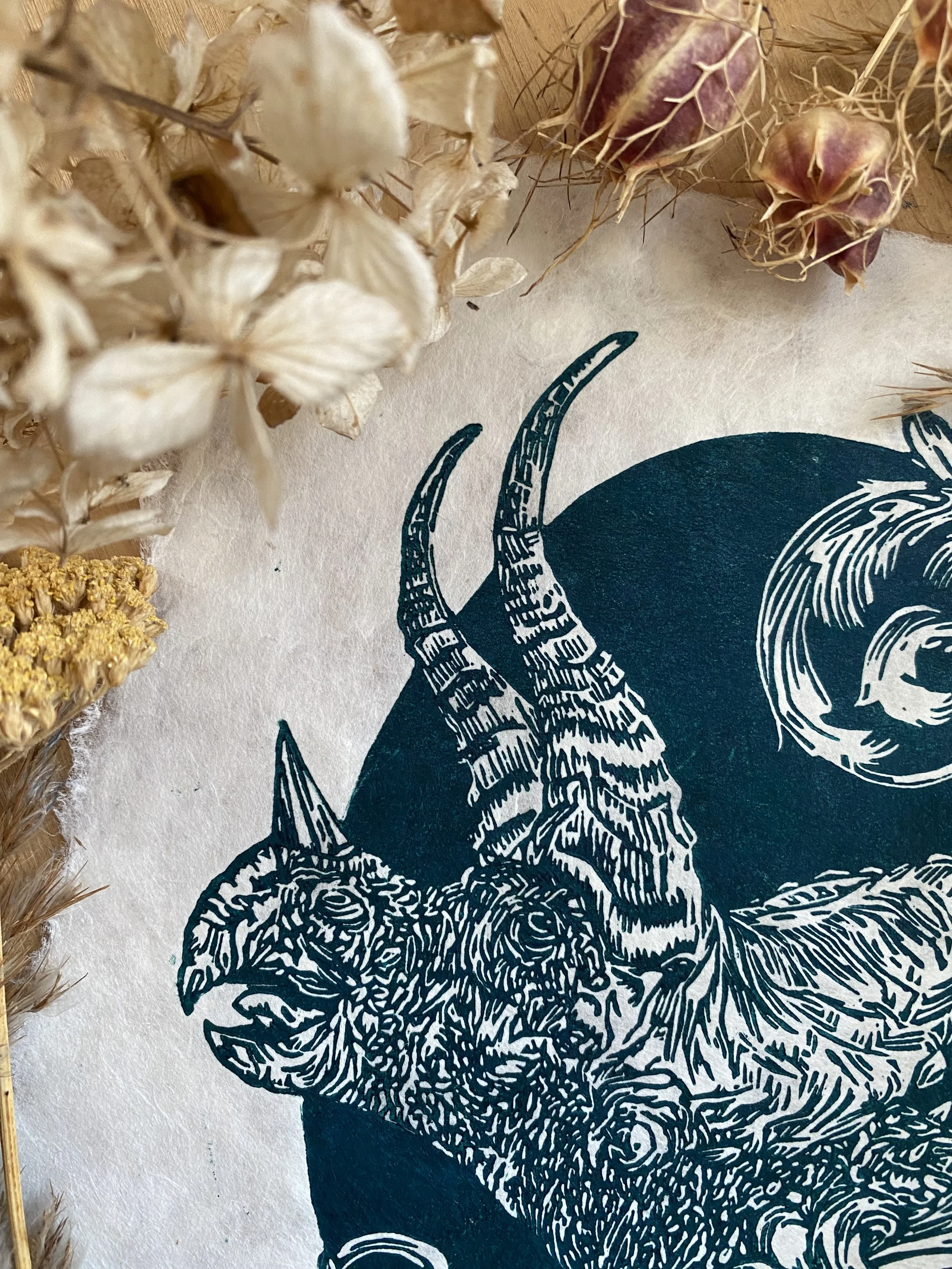 IMG_8053.jpeg (Kopie) (Kopie)