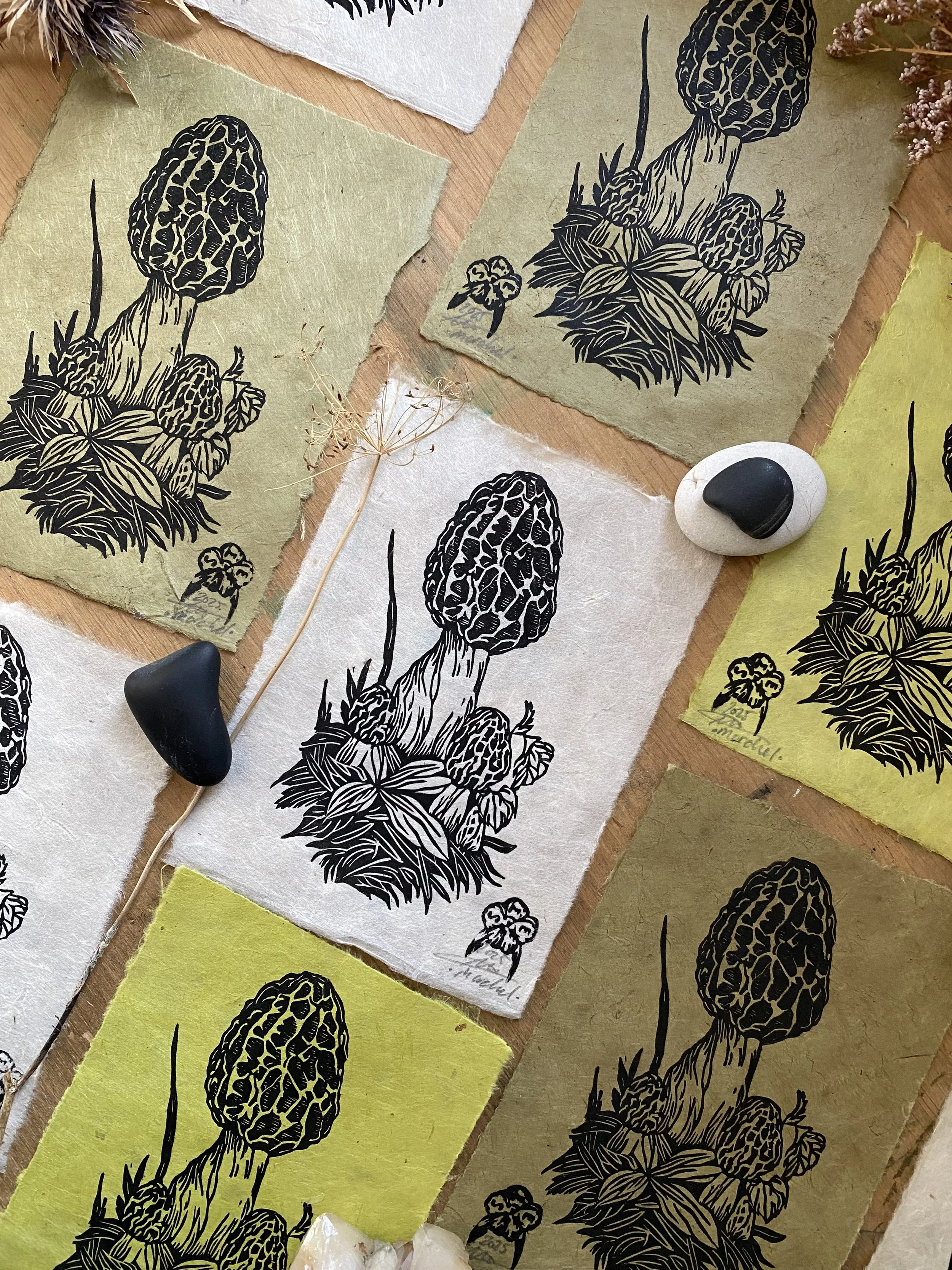 Mushroom • Morel mushroom