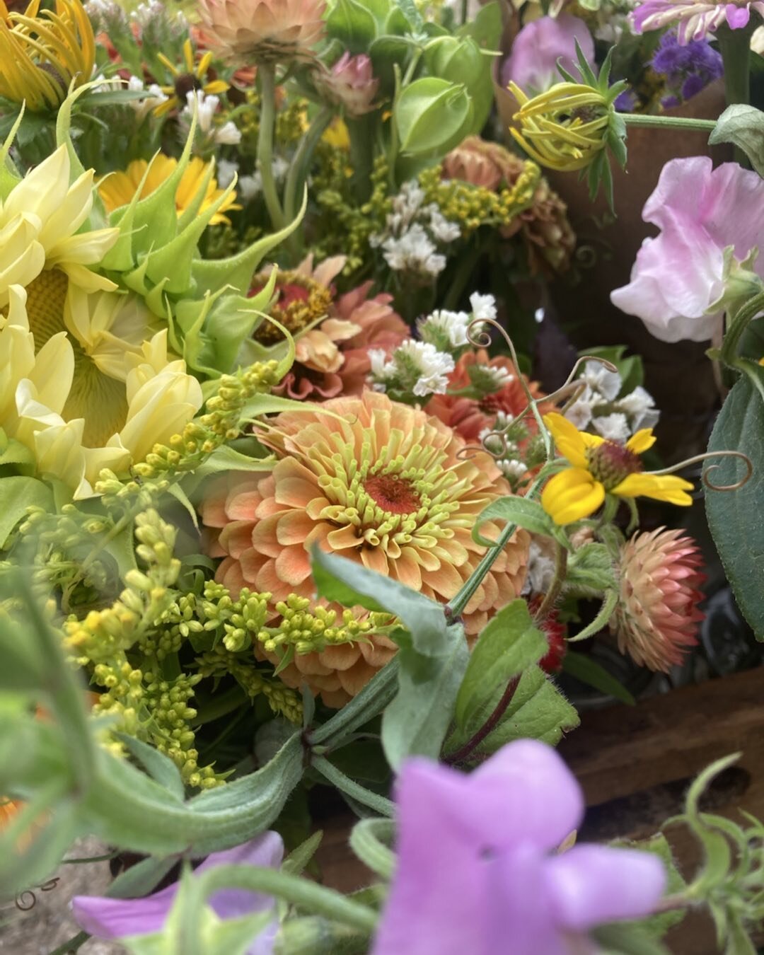 Cheers to #FlowerFriday. Lots of cheery bouquets waiting for you, in the AC, thanks to our retail friends at @iriseatsmaine, @vesselandvine, @wildoatsbakery, and The Vegetable Corner. Grab your water and head over to see these friends for our sustain