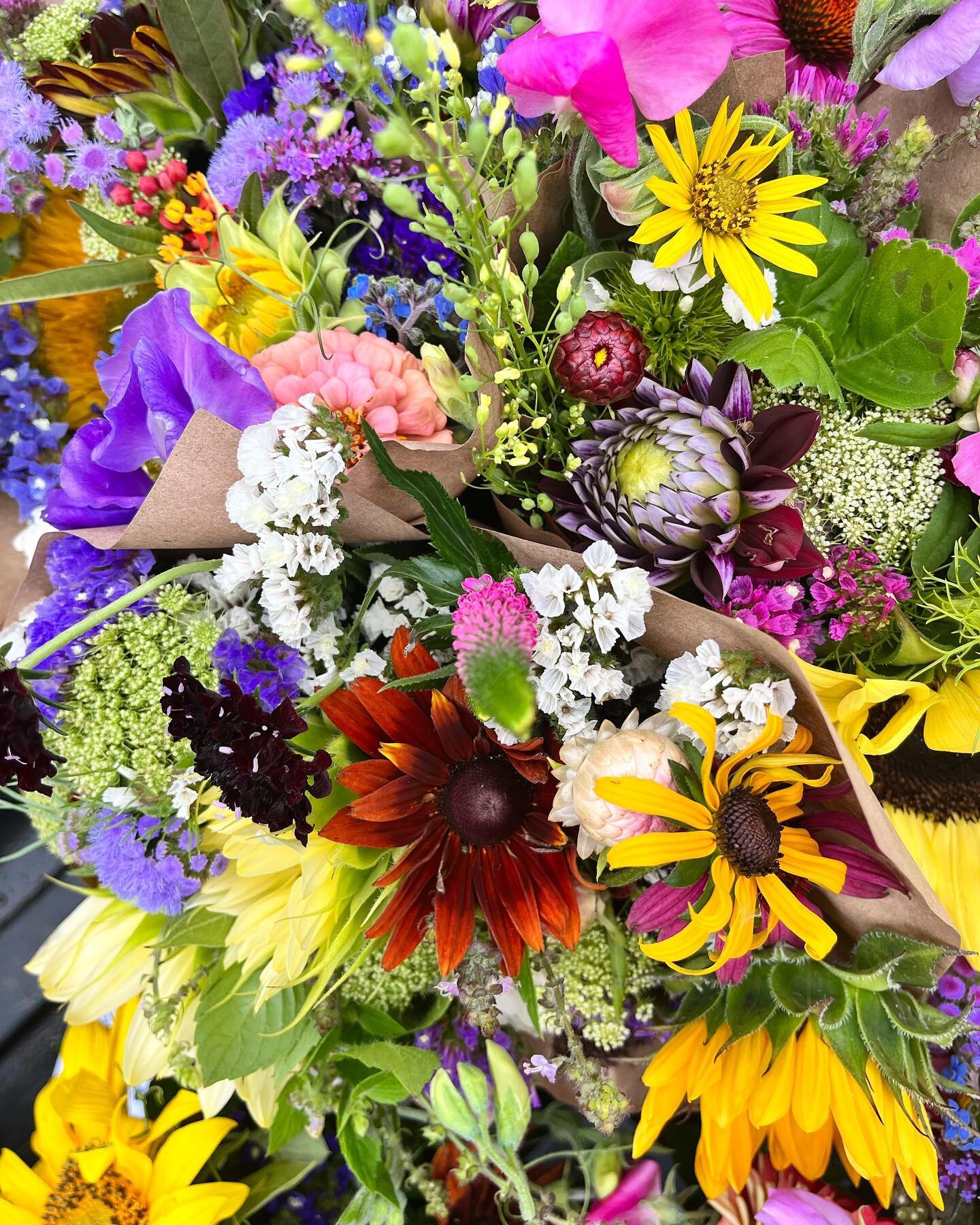 Bursts of yellows, pinks, purples and more kicked off the start of summer week 9. The newest (and most diverse) round of sunnies joining the end of the sweet peas and the start of the dahlias.
.
The infusion of new colorful varieties feels a little l