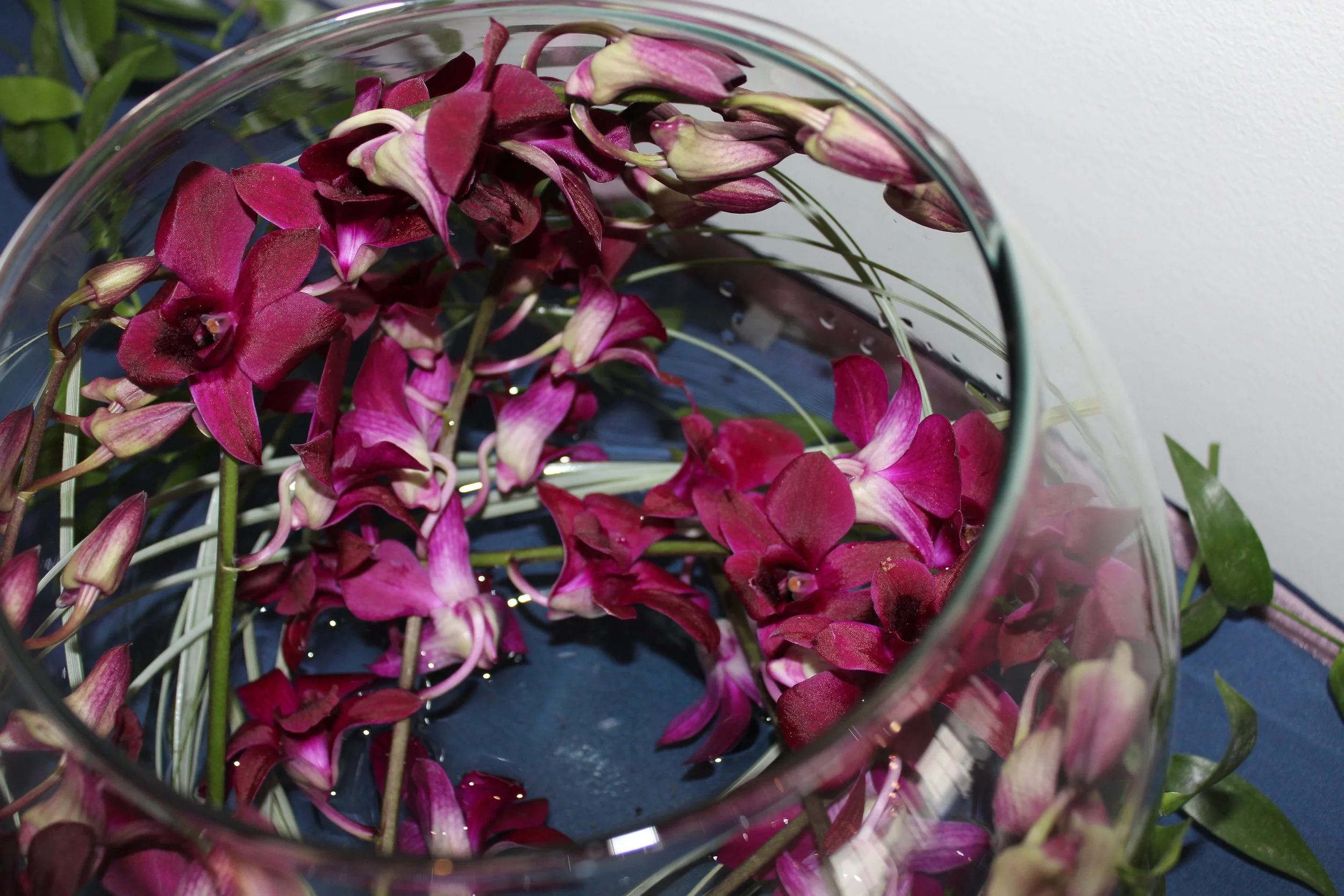VESSELS, Lotus (3).JPG