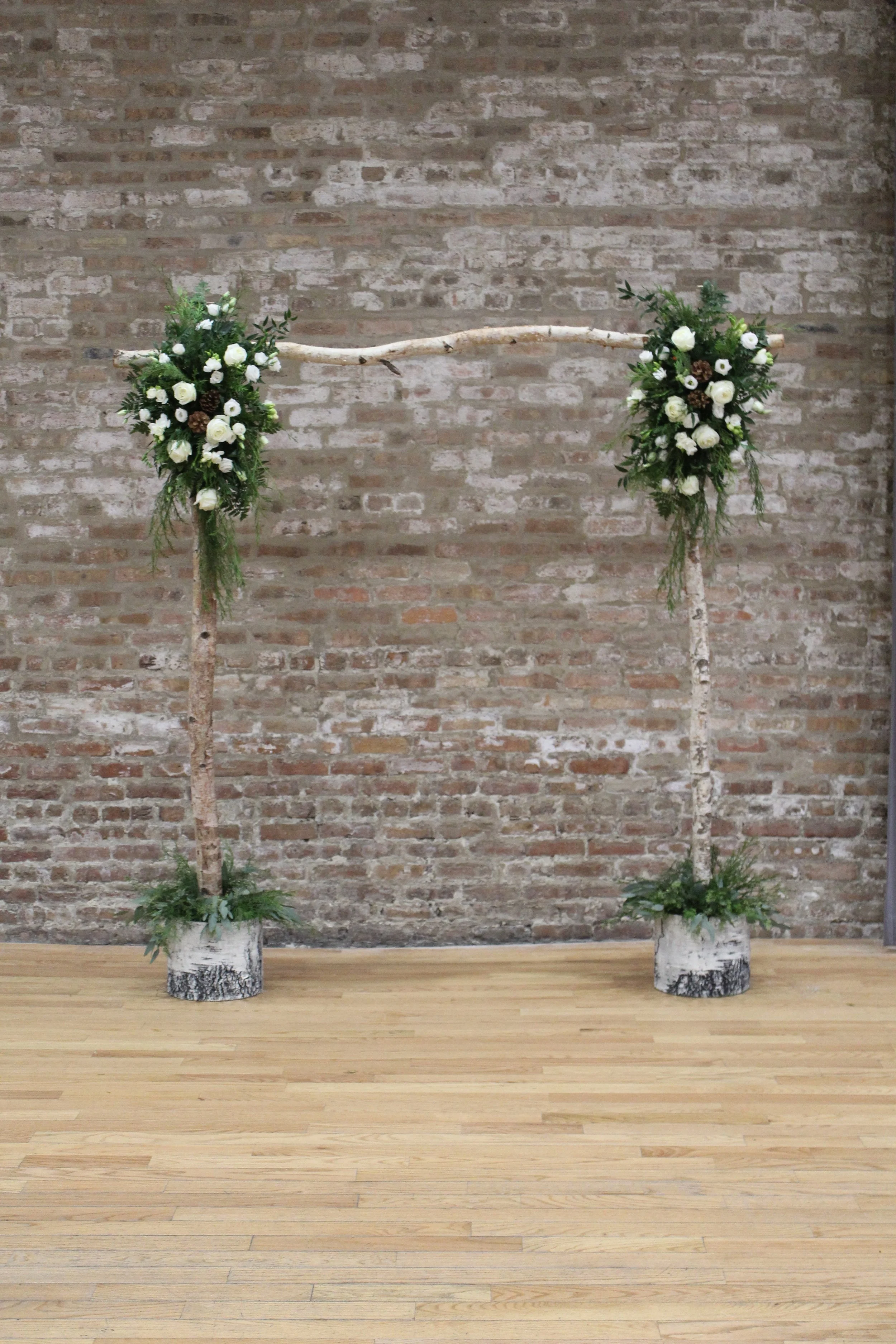 ARCH - BIRCH 1 Arch  (6).JPG