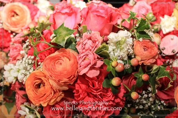 michelle, prof  (5).jpg