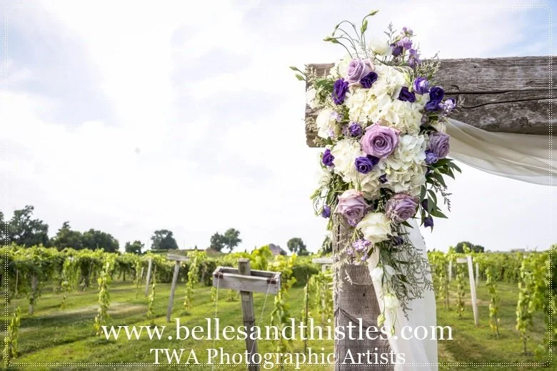 DANIELLE LEUCK PROF (38).jpg