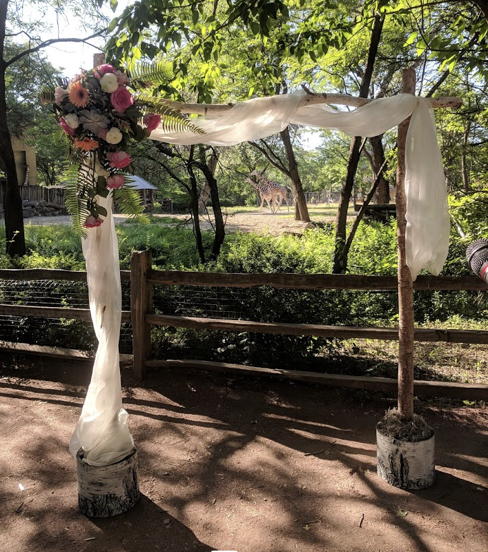 ARCH - BIRCH 1 Arch  (7).PNG