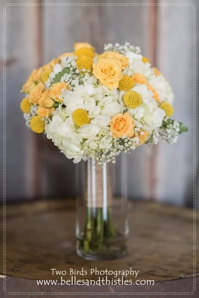 kim c, prof  (3).jpg