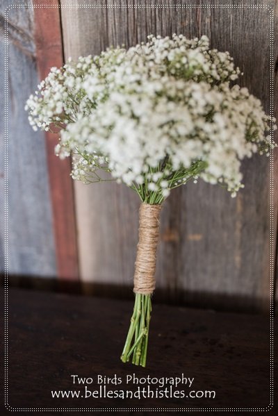 kim c, prof  (7).jpg