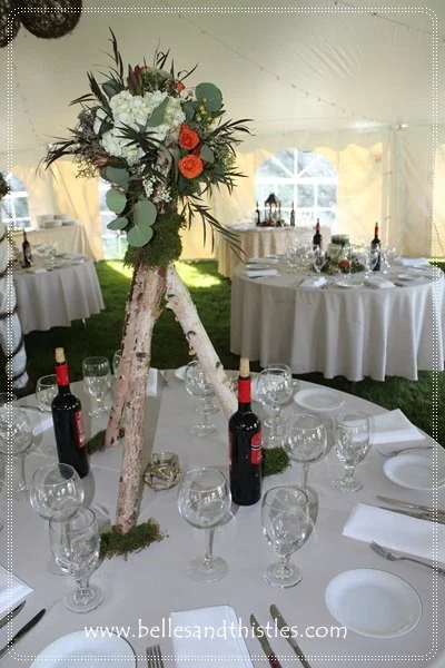 MISC Birch Cent Tripod (2).JPG