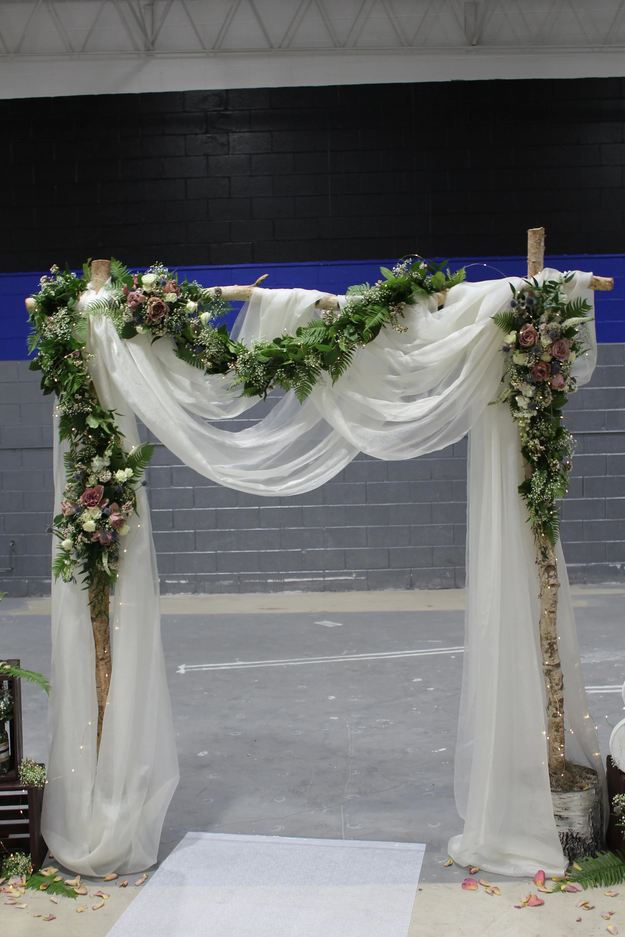 ARCH - BIRCH 1 Arch  (2).JPG