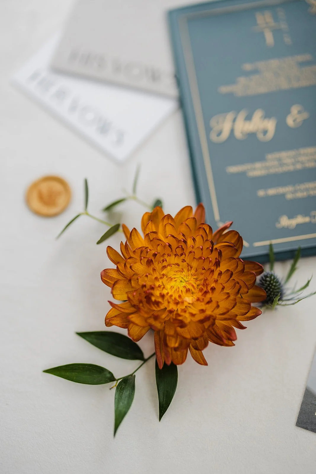Haley+Jake_WEDDING-13.jpg