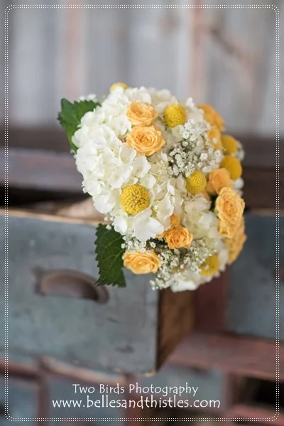 kim c, prof  (10).jpg