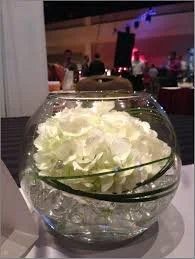 VESSELS, Bubble  (3).jpg