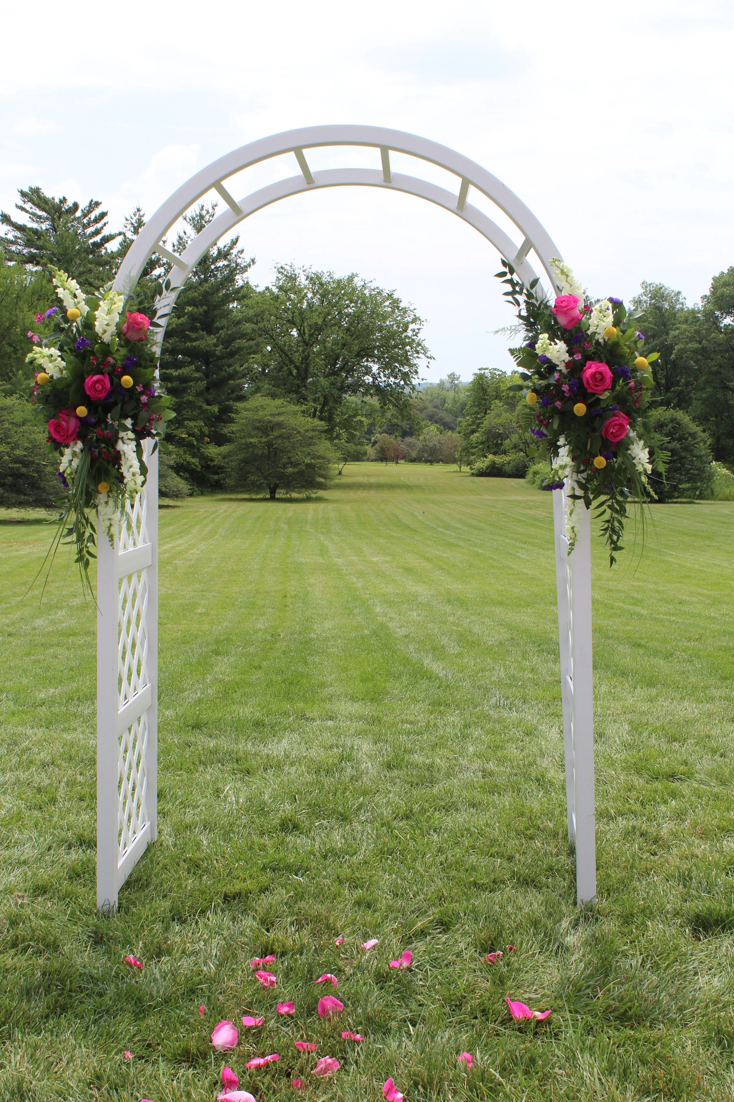 ARCH - GARDEN 4 (3).JPG