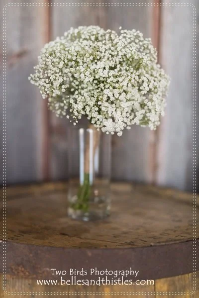 kim c, prof  (6).jpg