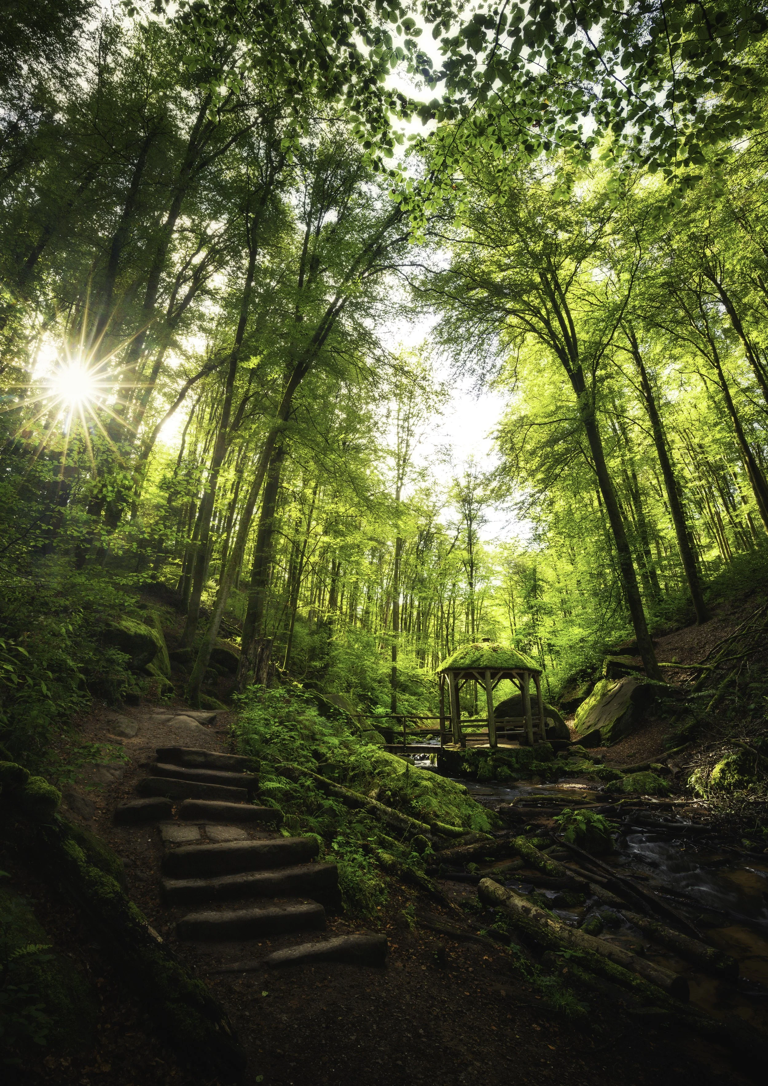 Karlstal Pavillon DIN.jpg