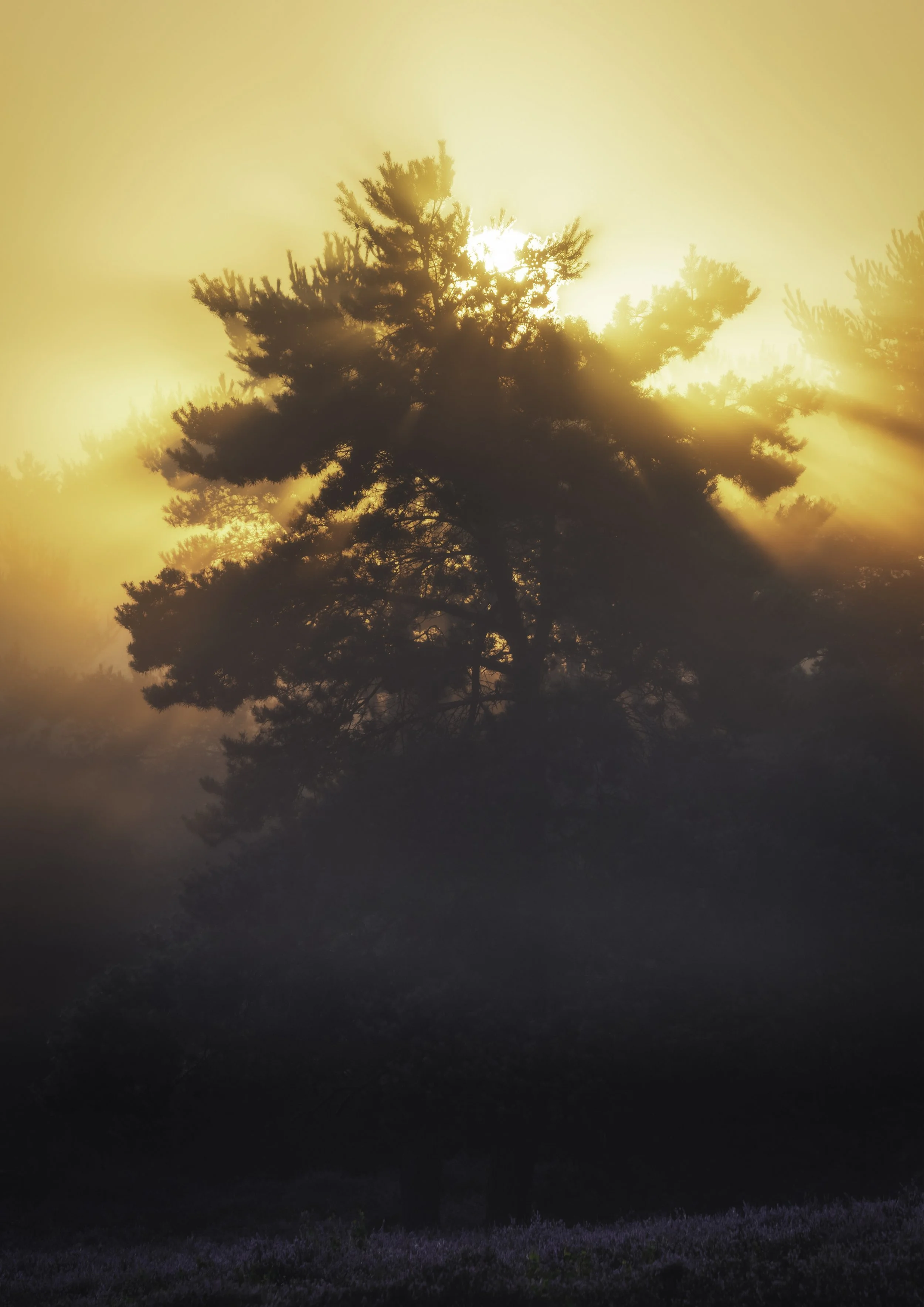 Gegensätze DIN.jpg