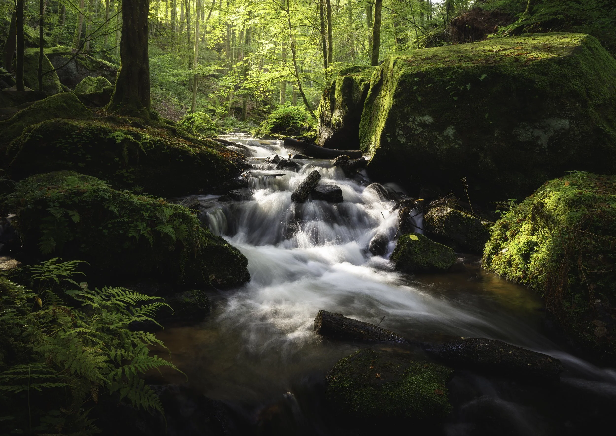 Bachtal