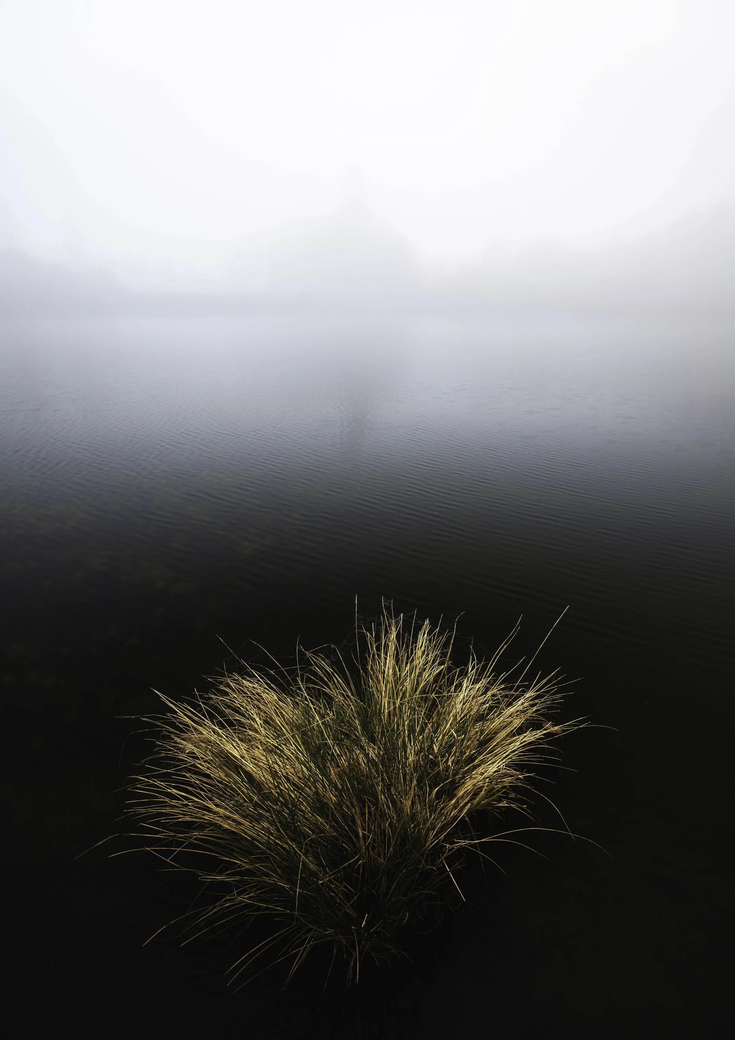 Nebel DIN.jpg