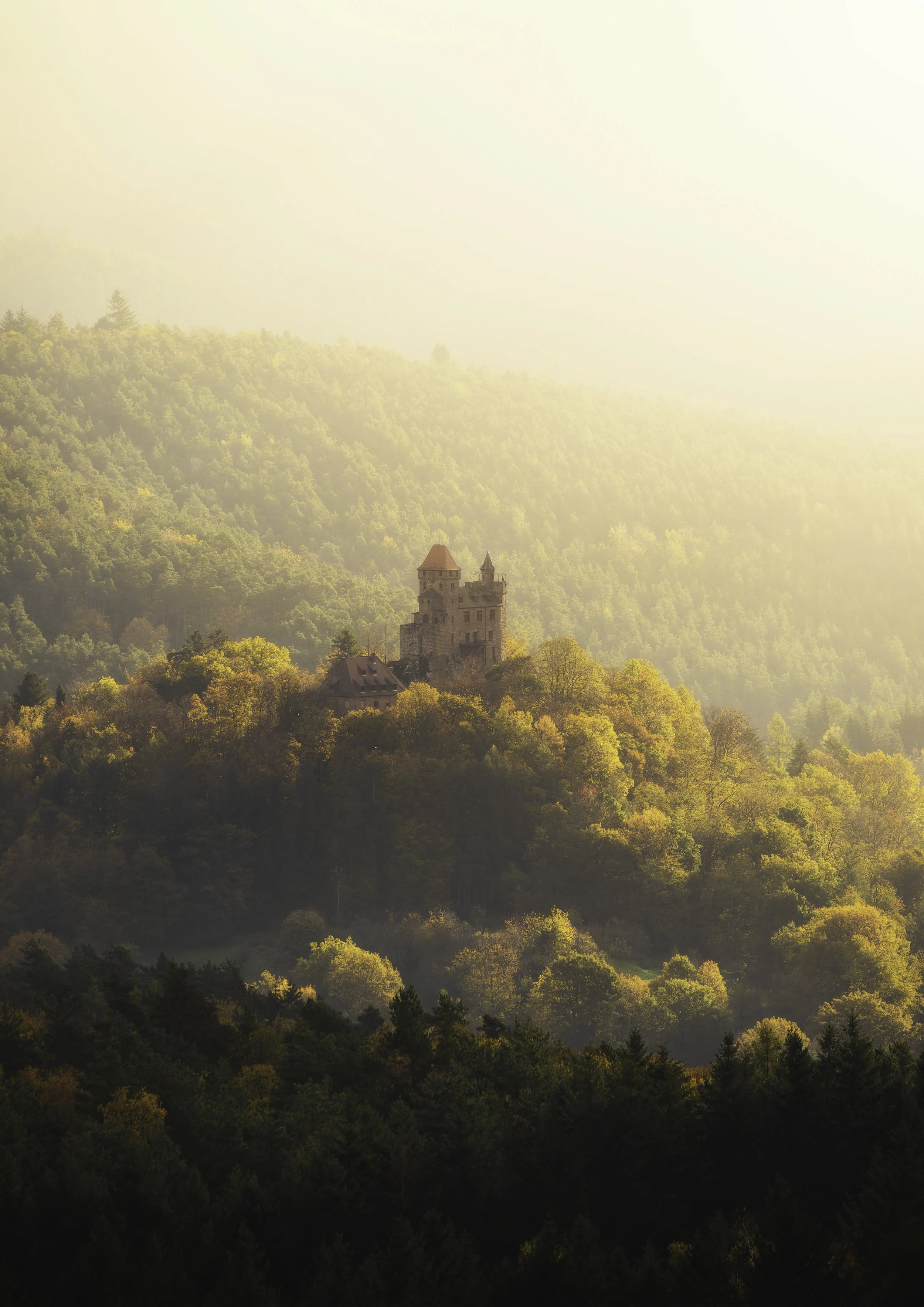 Burg Hochkant DIN.jpg