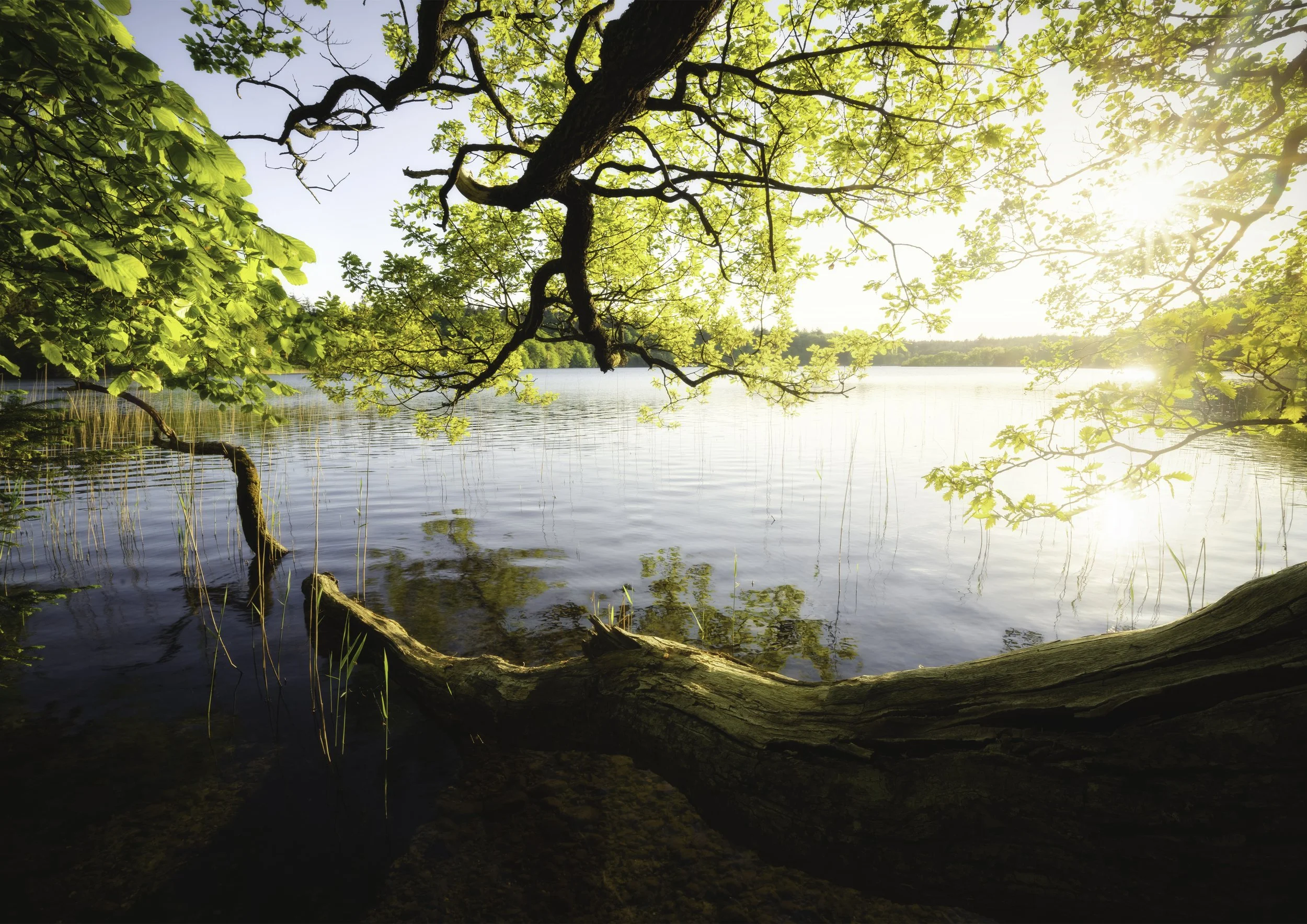 See Dänemark DIN.jpg