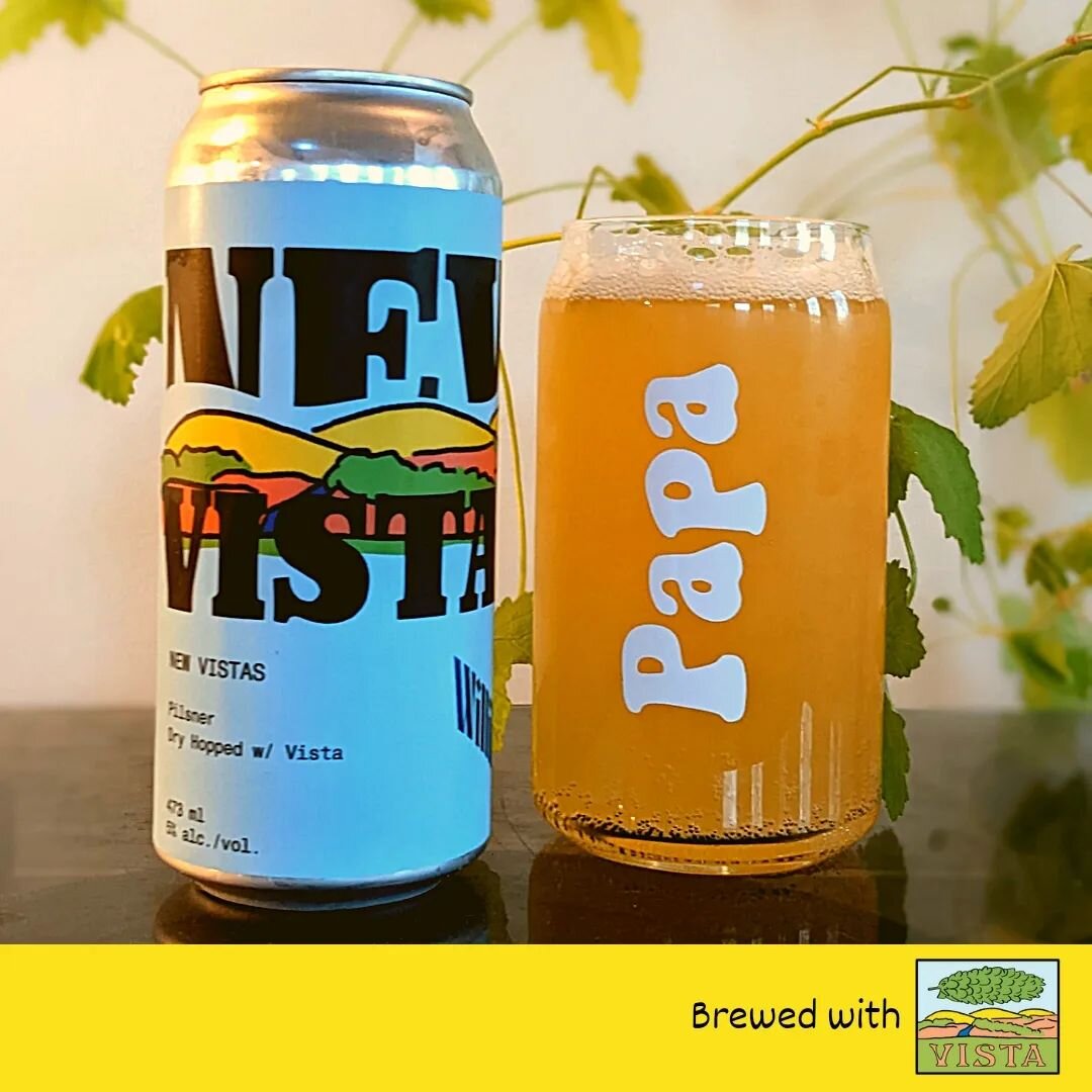 New Vistas is a dry hopped pilsener featuring #vistahops by @drinkwillibald a brewery in Ayr, Ontario 

#HoppyPils #willibaldbeer