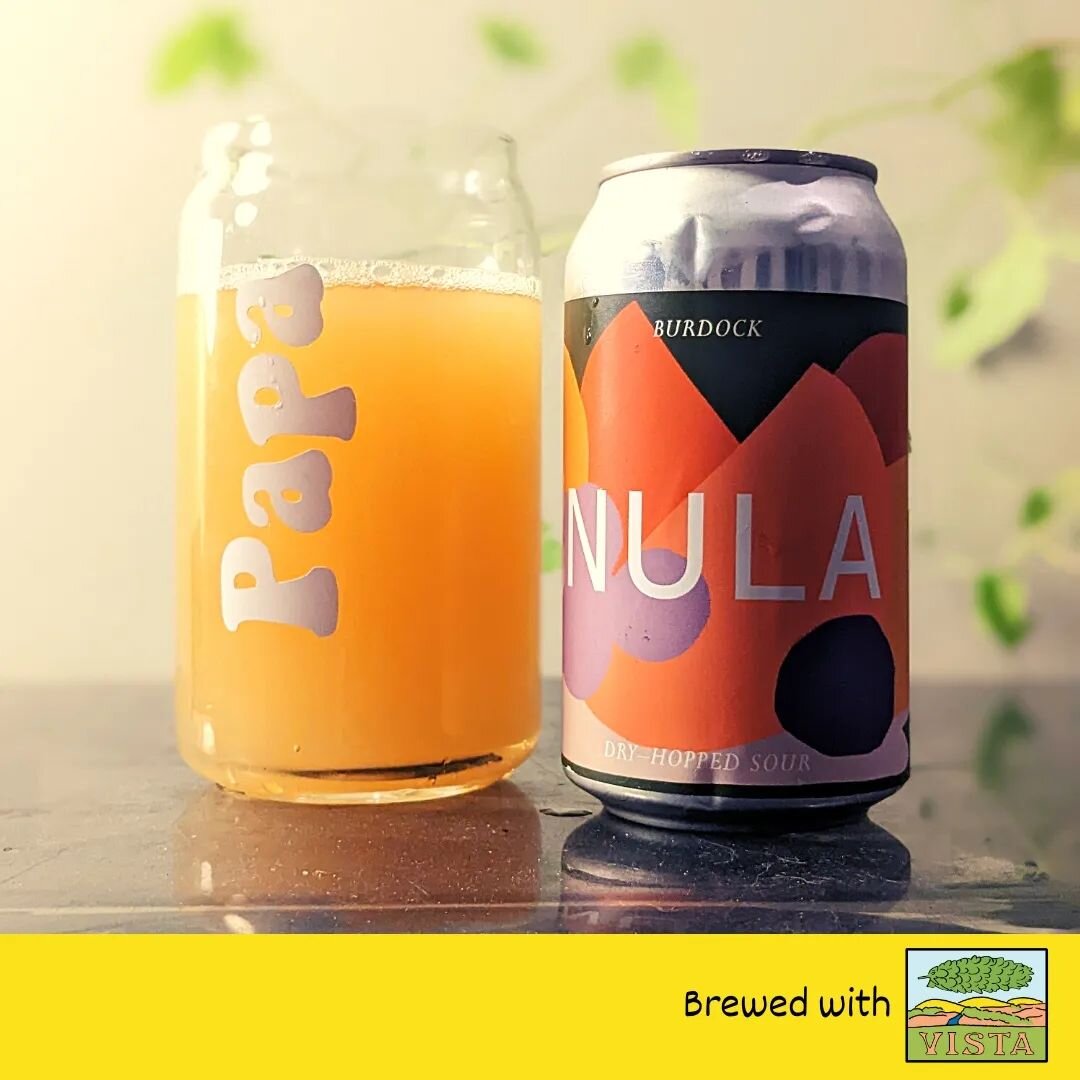 Nula is a dry-hopped sour from @burdockbrewery with a sublime expression of Vista's melon character. Semi-sweet and fruity but from hops means this sour still tastes like beer. 

#VistaHops #PublicHops #BurdockBeer #torontobeer #craftbeer #sourbeer