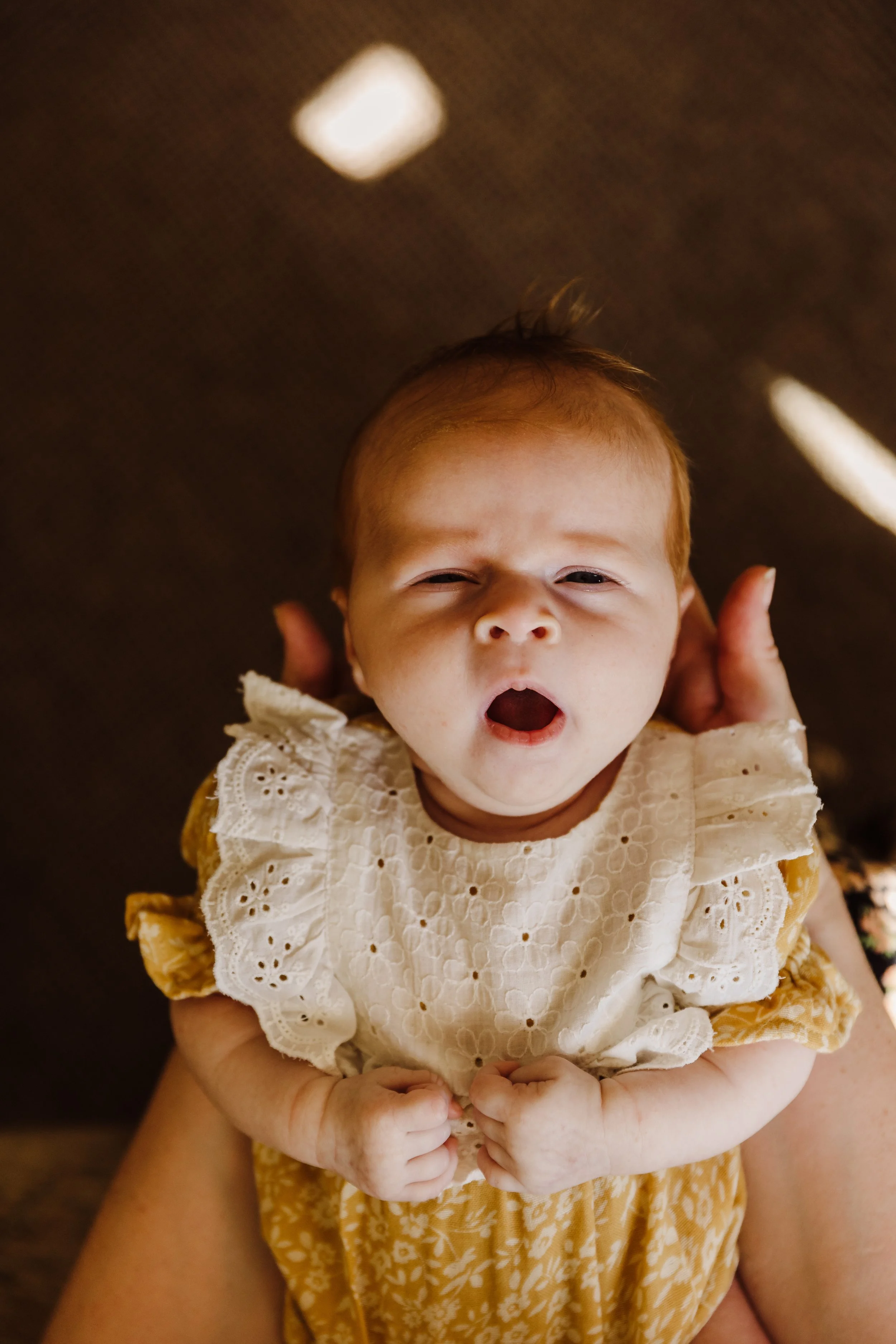 newborn photo looking at camera