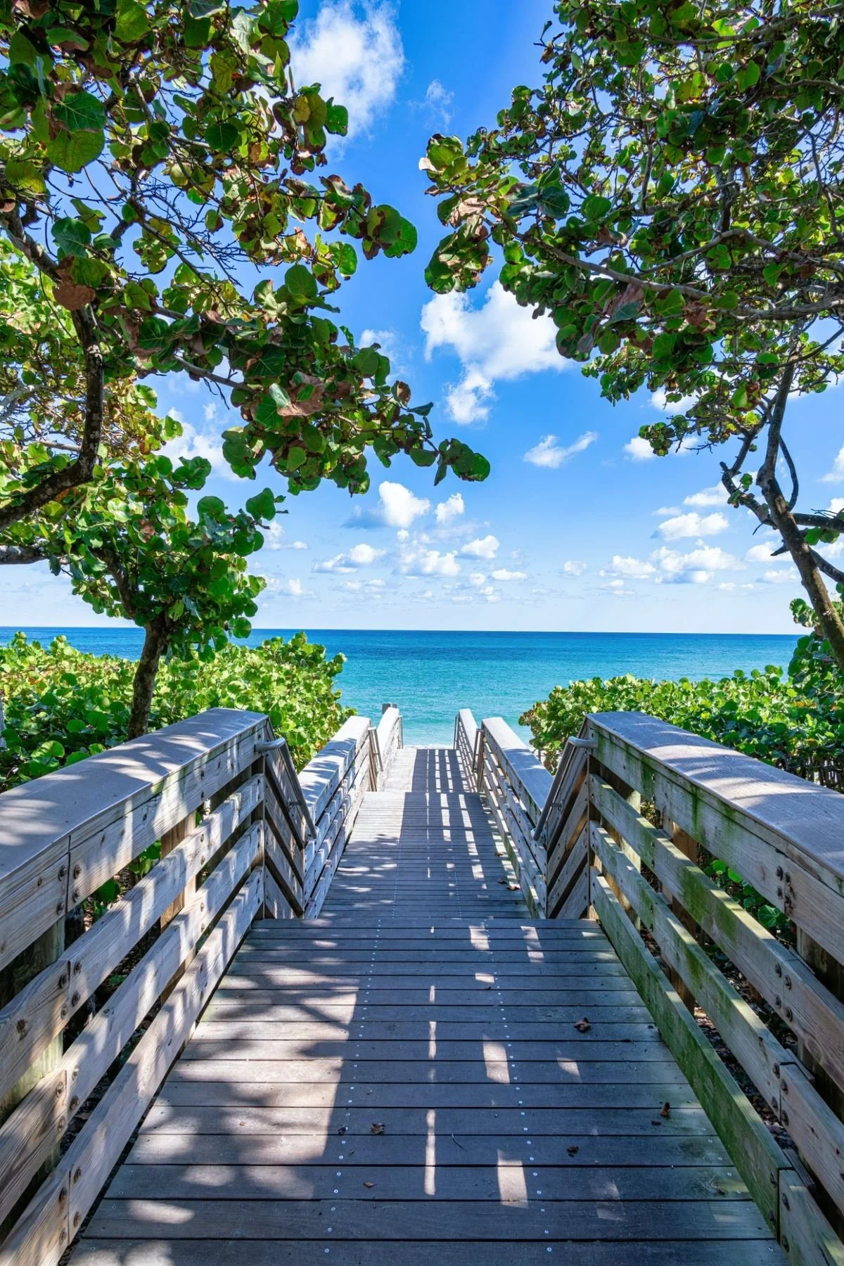 Wooden beach boardwalk through sea grape to the Atlantic Ocean along A1A in Jupiter, Florida