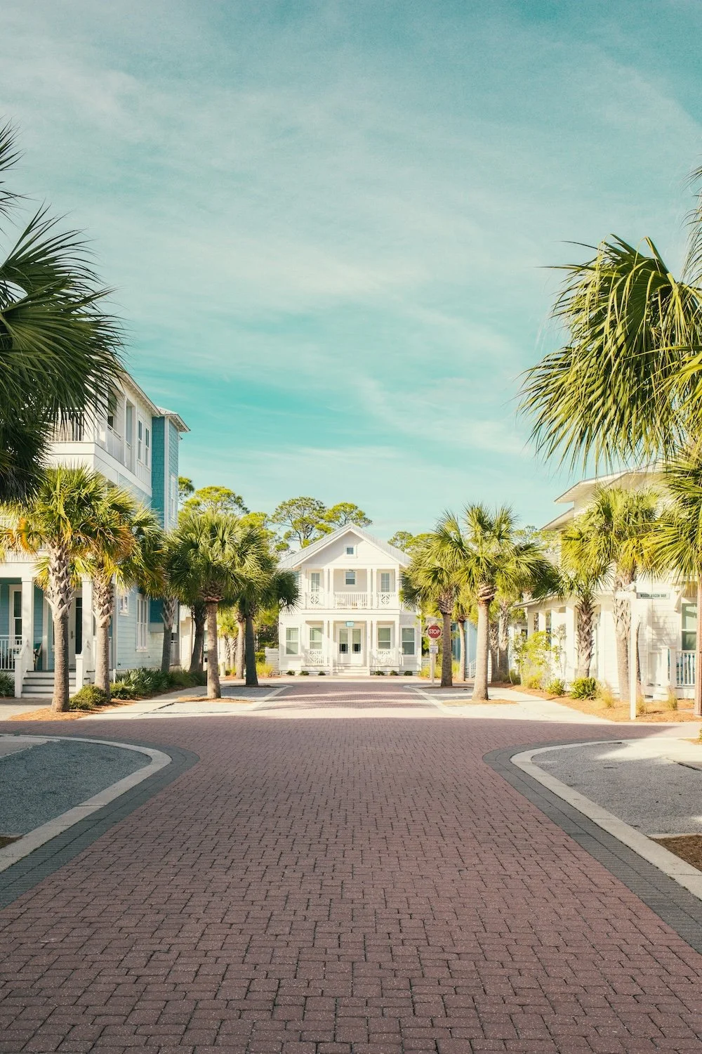 Palm tree neighborhood homes typical of Florida coastal communities.