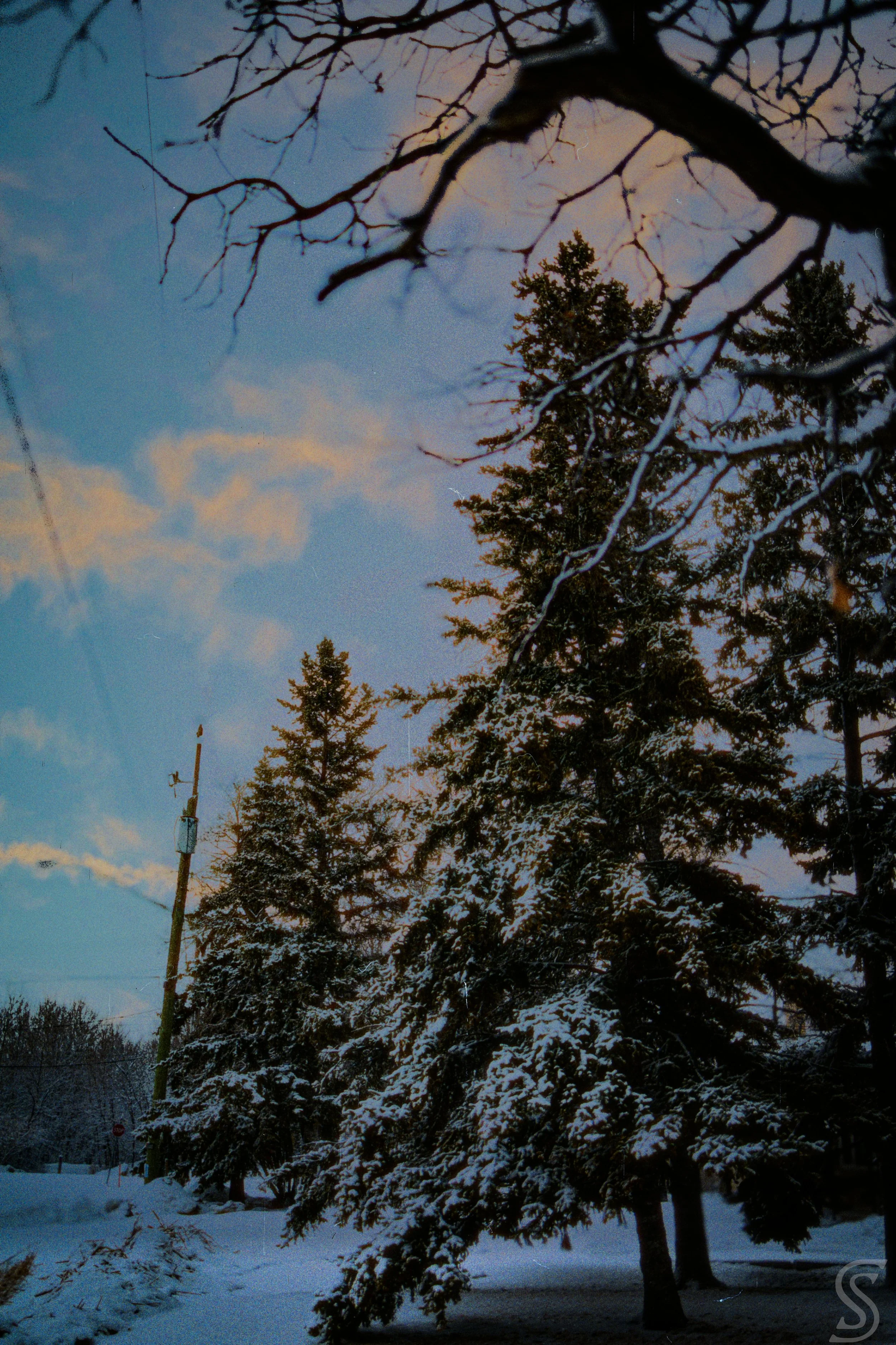 866A1898-Edit copy1.jpg